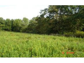 1134 Splinter Ridge Road Spencer, IN 47460 - Photo 4 of 5