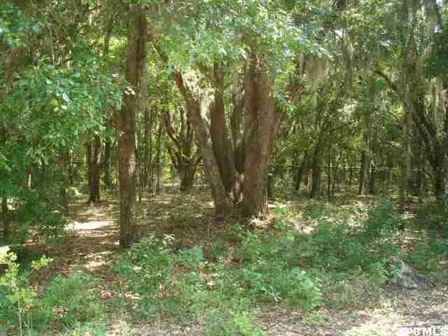 7 Mixon Road St. Helena Island, SC 29920 - Photo 1 of 1 Primary Photo