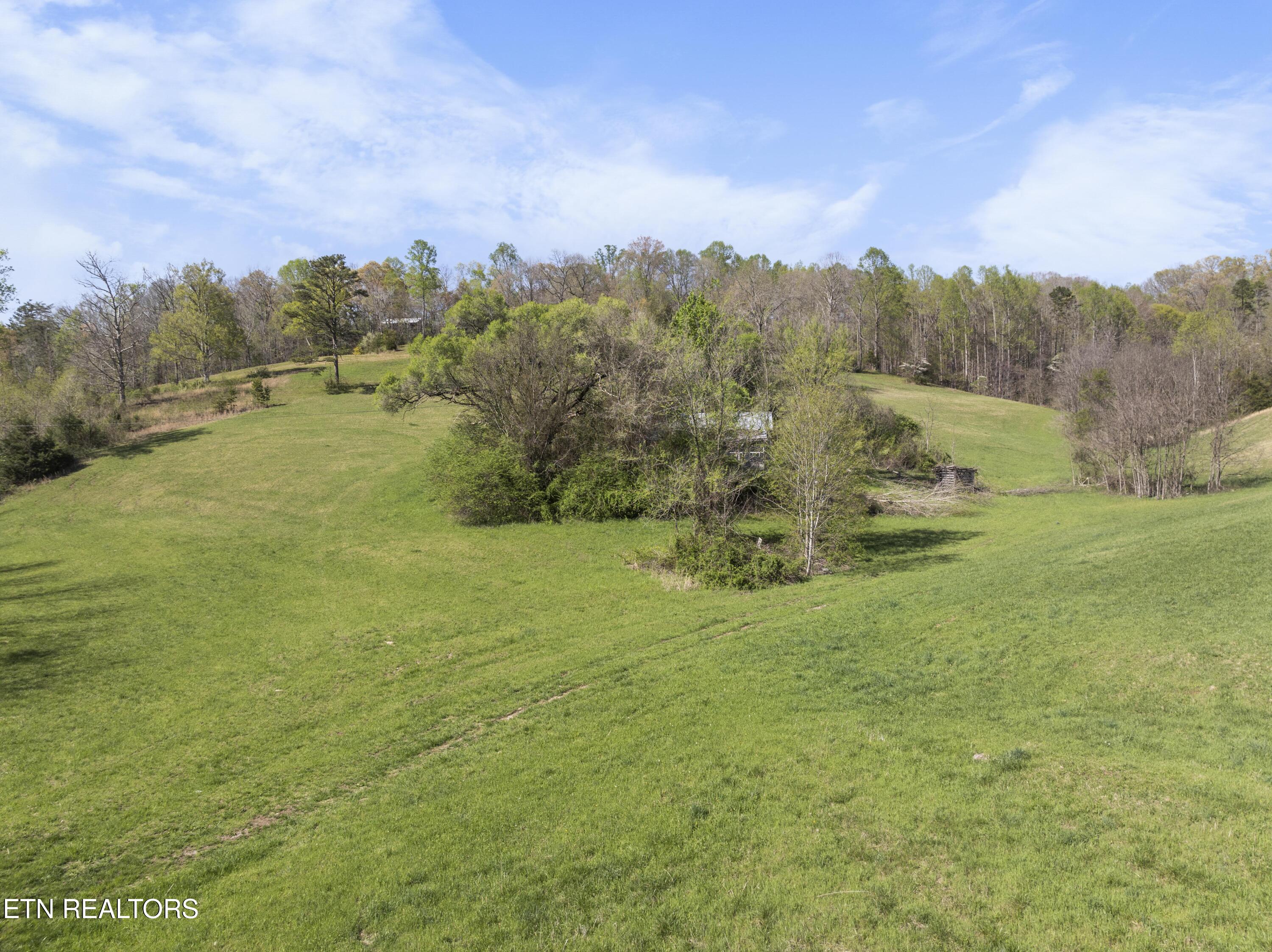 735 Alder Springs Road La Follette, TN 37766 - Photo 21 of 22 DJI_0666