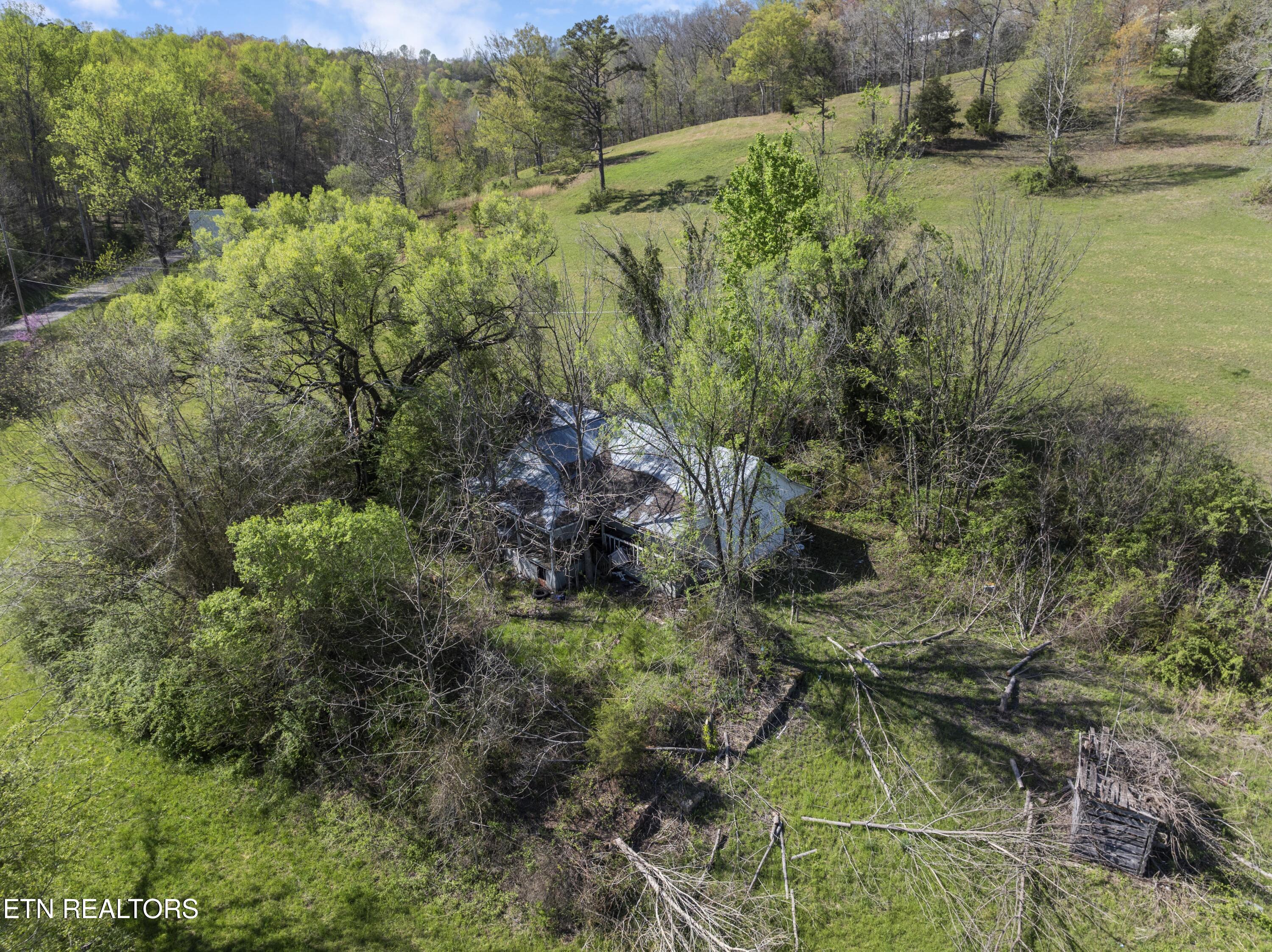 735 Alder Springs Road La Follette, TN 37766 - Photo 5 of 22 DJI_0616