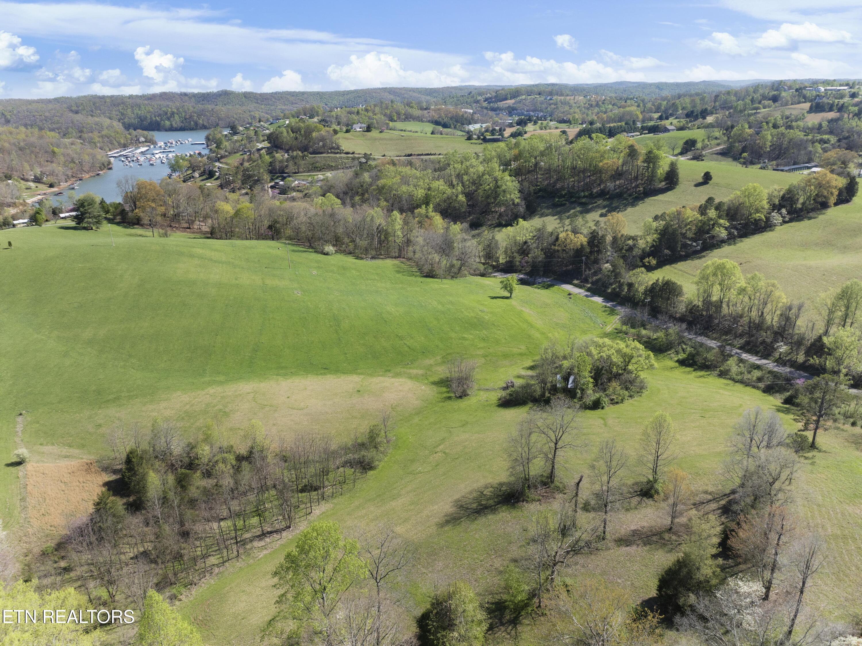 735 Alder Springs Road La Follette, TN 37766 - Photo 6 of 22 DJI_0650
