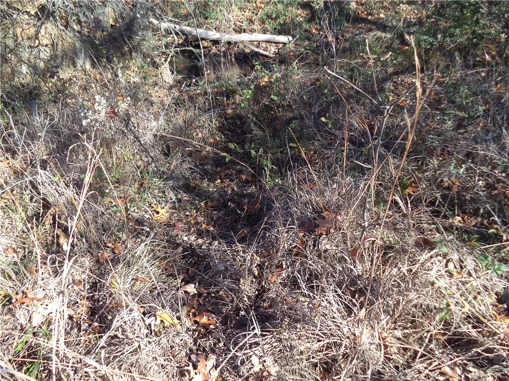 0 Scott Road Route, Unit RURAL Neodesha, KS 66757 - Photo 11 of 13