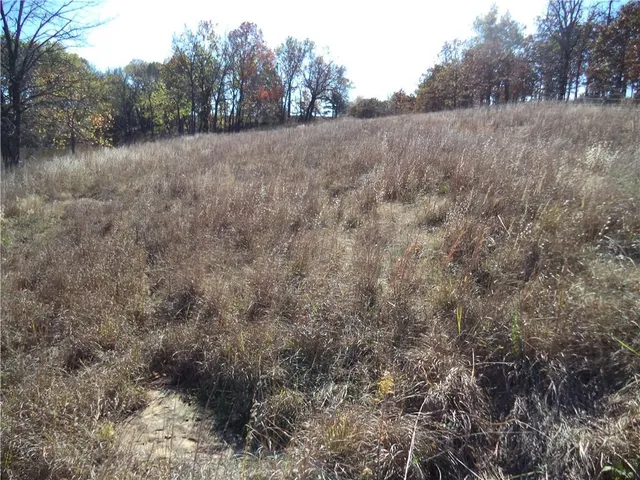 $360,000 | 0 Scott Road Route, Unit RURAL, Neodesha, KS 66757