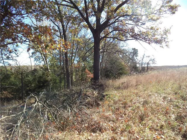 $360,000 | 0 Scott Road Route, Unit RURAL, Neodesha, KS 66757