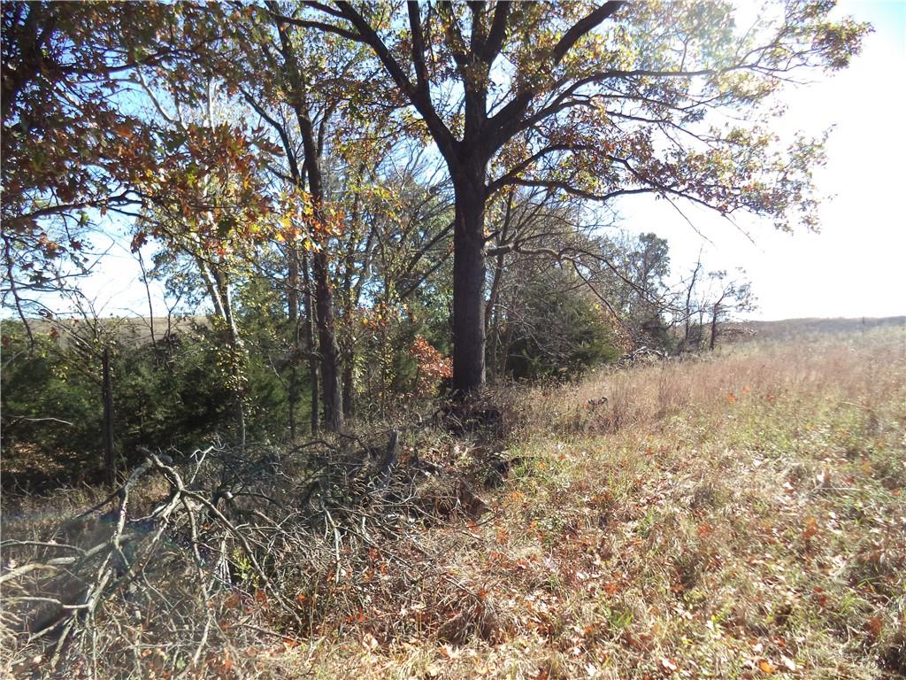 0 Scott Road Route, Unit RURAL Neodesha, KS 66757 - Photo 10 of 13