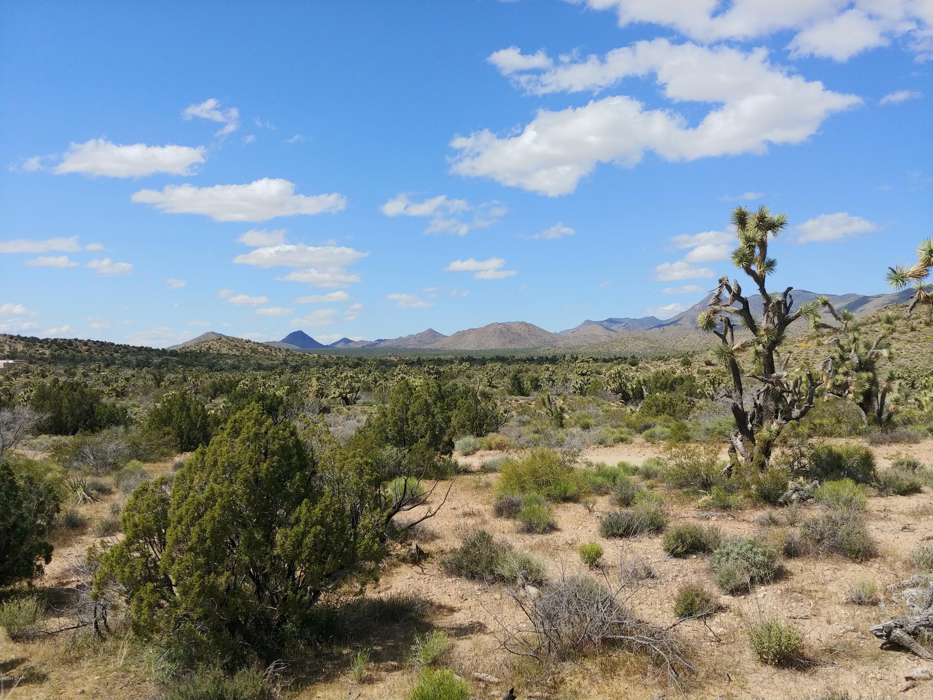 2391 Yucca Road Yucca, AZ 86438 - Photo 11 of 41 0407201413b
