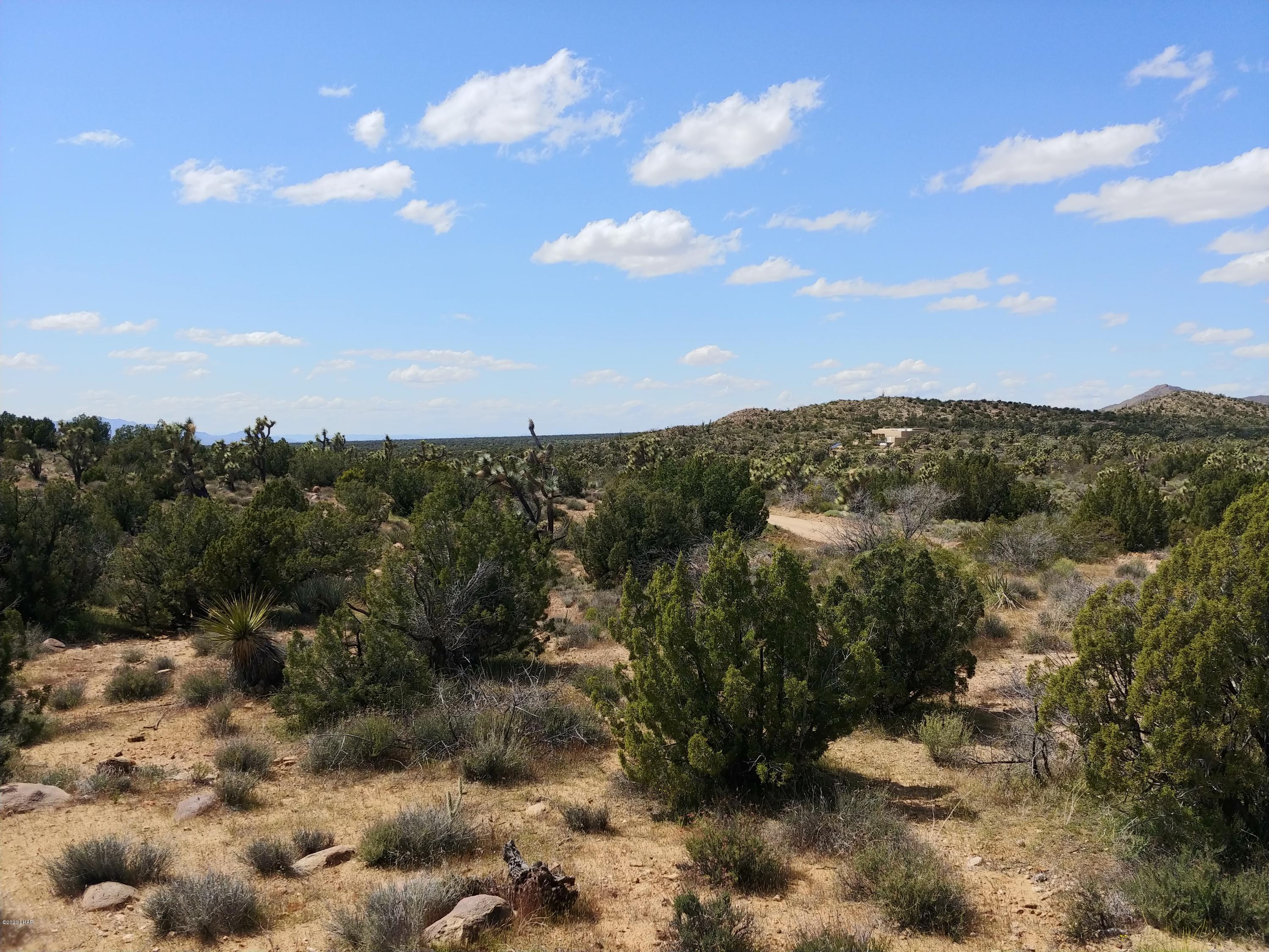 2391 Yucca Road Yucca, AZ 86438 - Photo 12 of 41 0407201413c