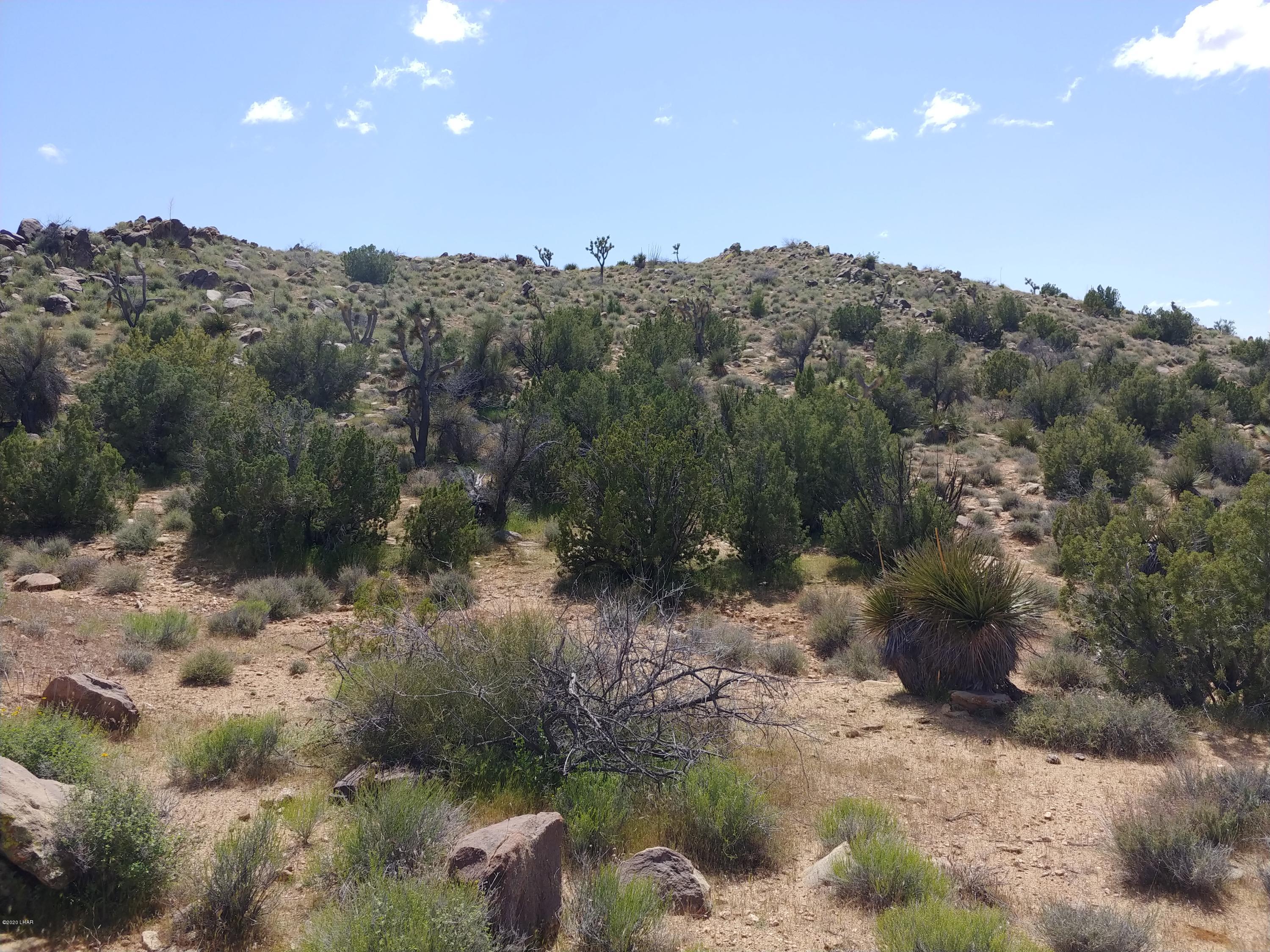 2391 Yucca Road Yucca, AZ 86438 - Photo 13 of 41 0407201413d