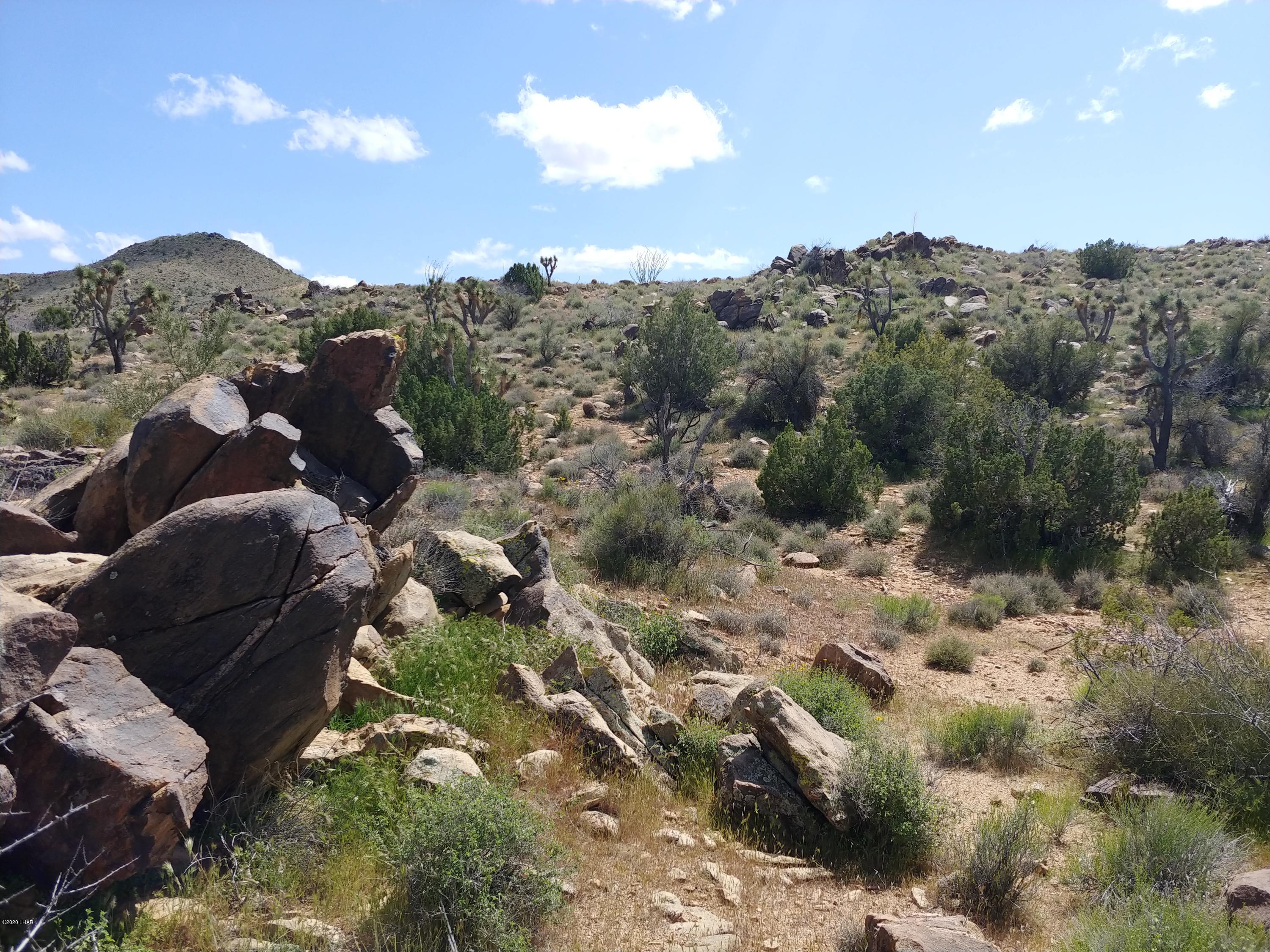 2391 Yucca Road Yucca, AZ 86438 - Photo 14 of 41 0407201413e