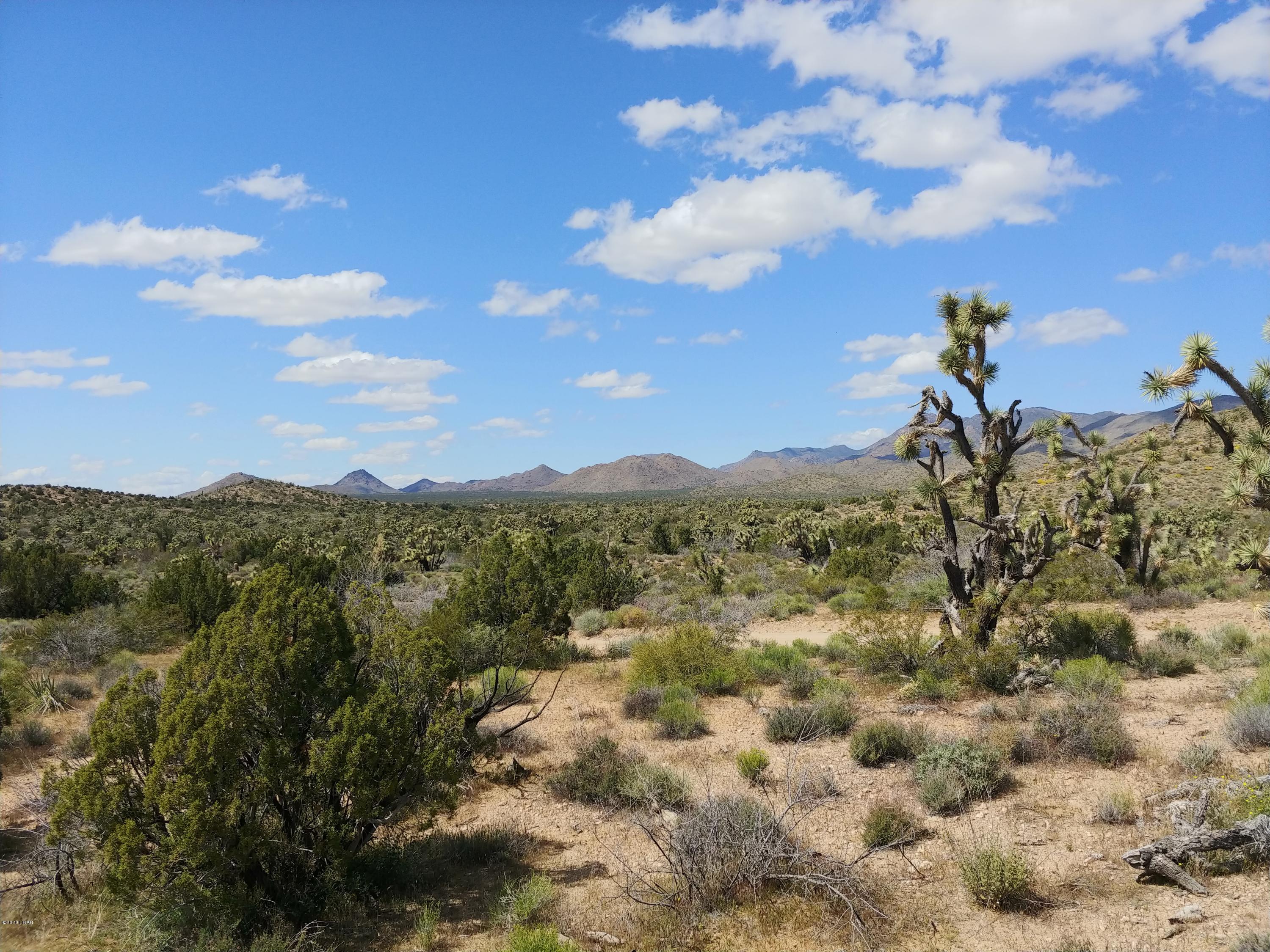 2391 Yucca Road Yucca, AZ 86438 - Photo 16 of 41 0407201414