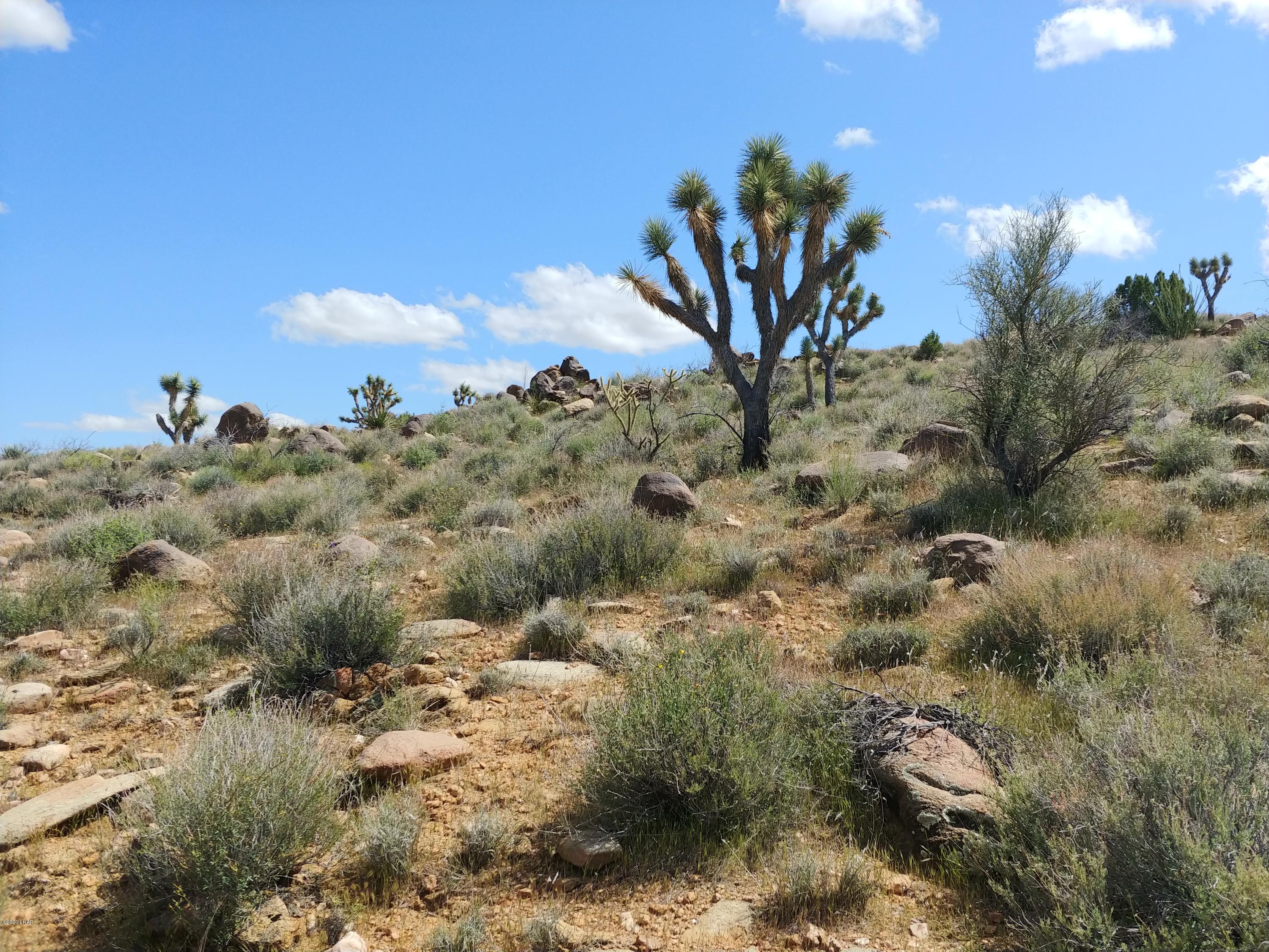 2391 Yucca Road Yucca, AZ 86438 - Photo 17 of 41 0407201415