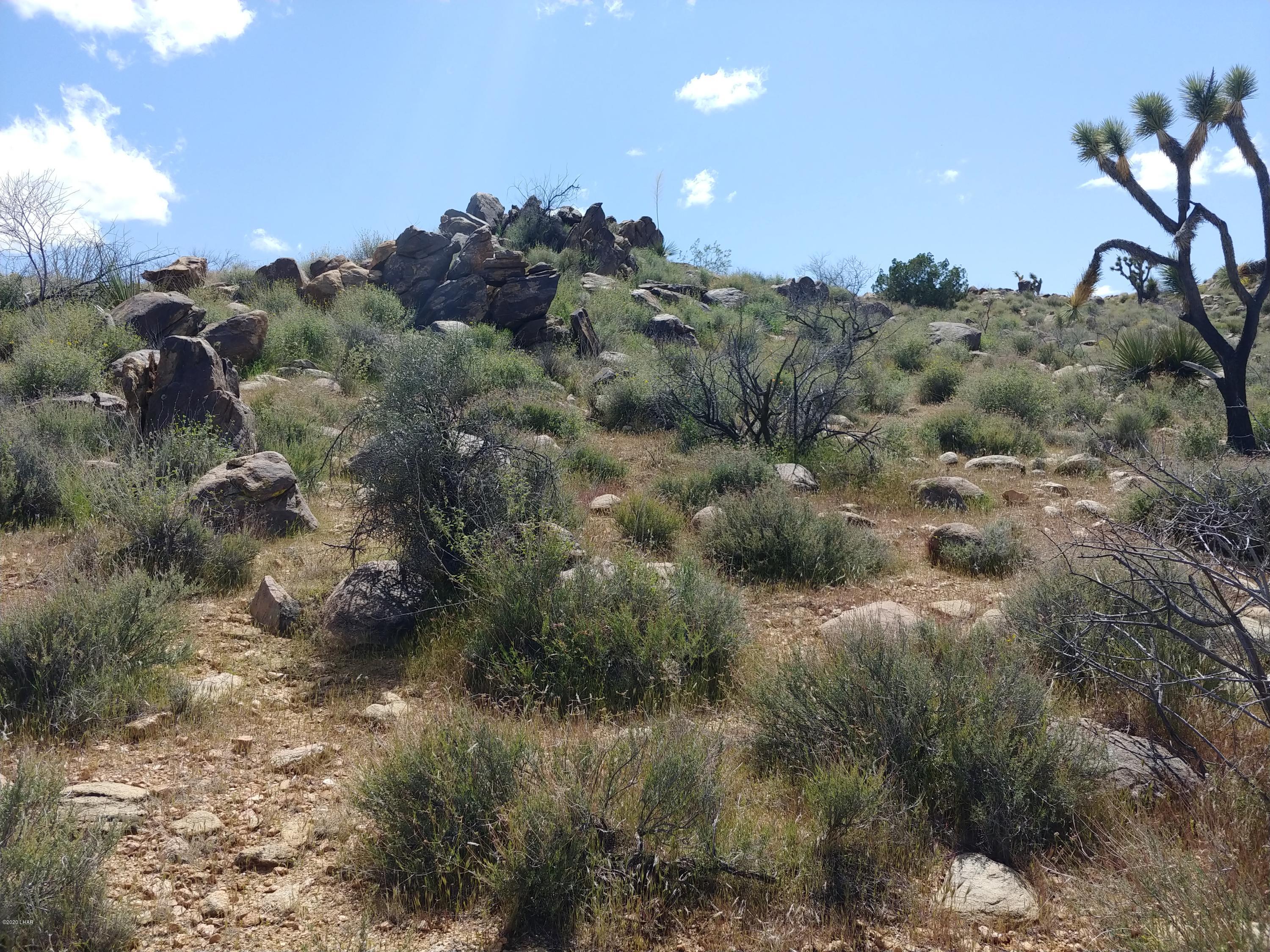 2391 Yucca Road Yucca, AZ 86438 - Photo 18 of 41 0407201415a