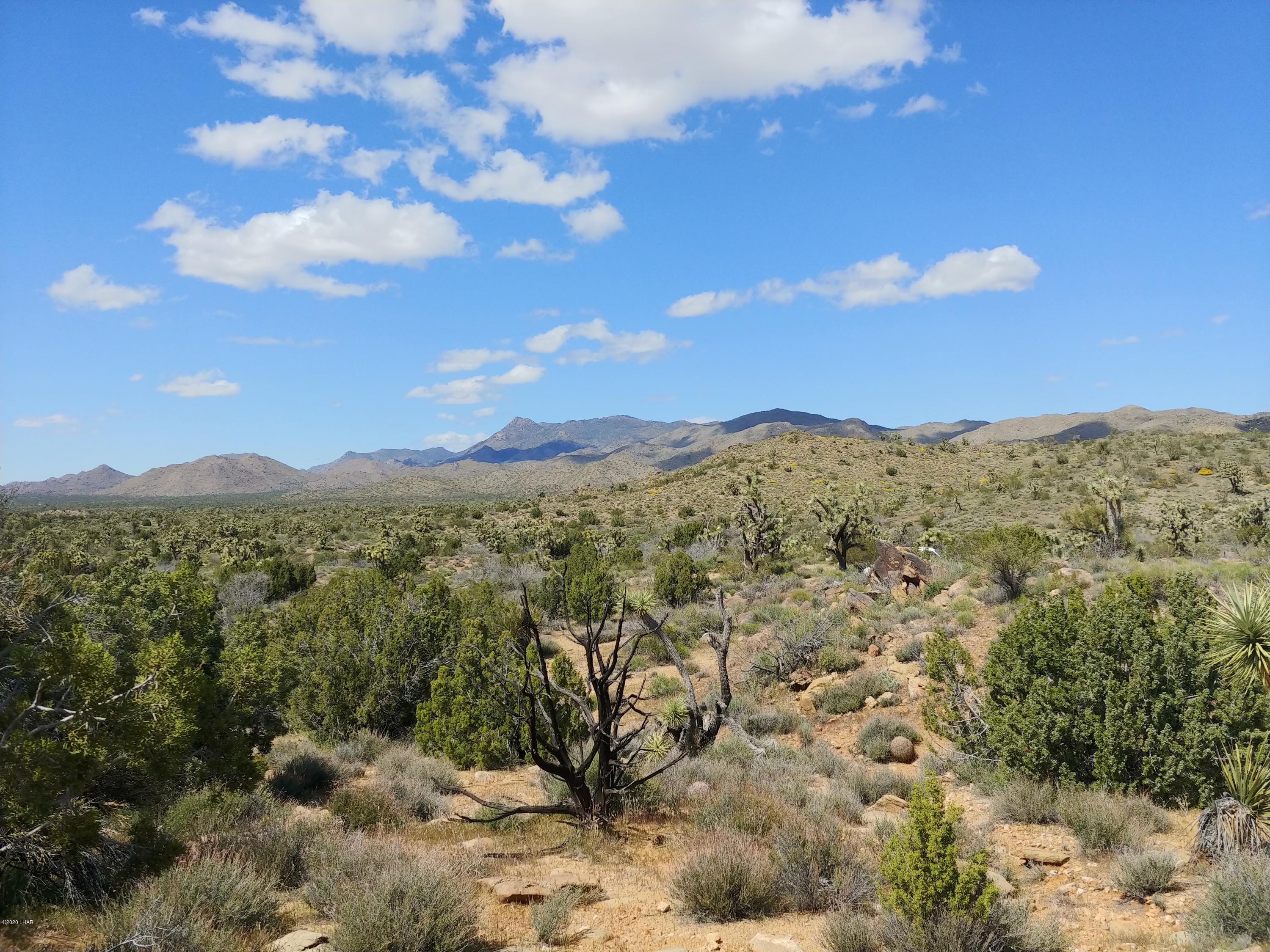 2391 Yucca Road Yucca, AZ 86438 - Photo 19 of 41 0407201415b