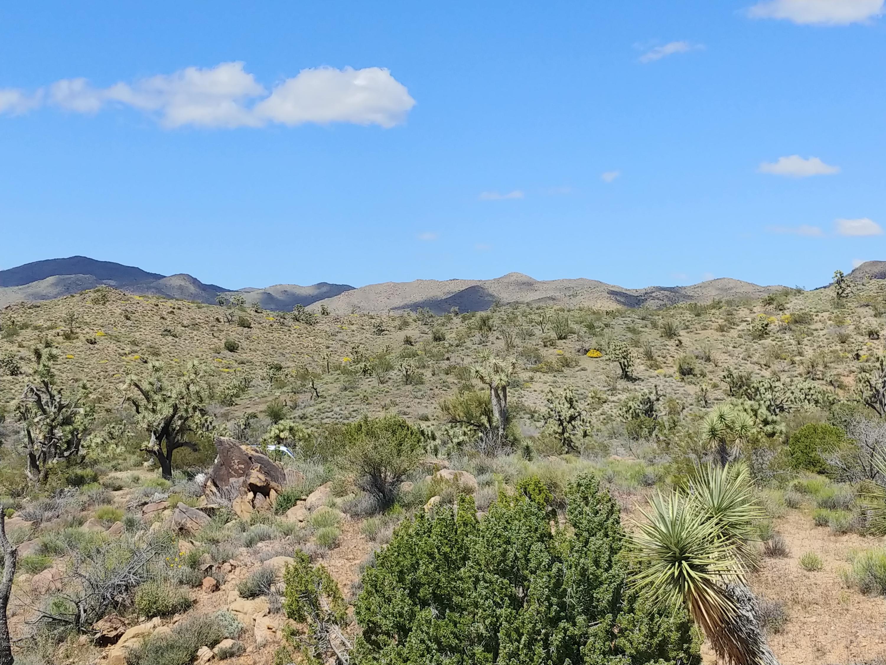 2391 Yucca Road Yucca, AZ 86438 - Photo 20 of 41 0407201415c