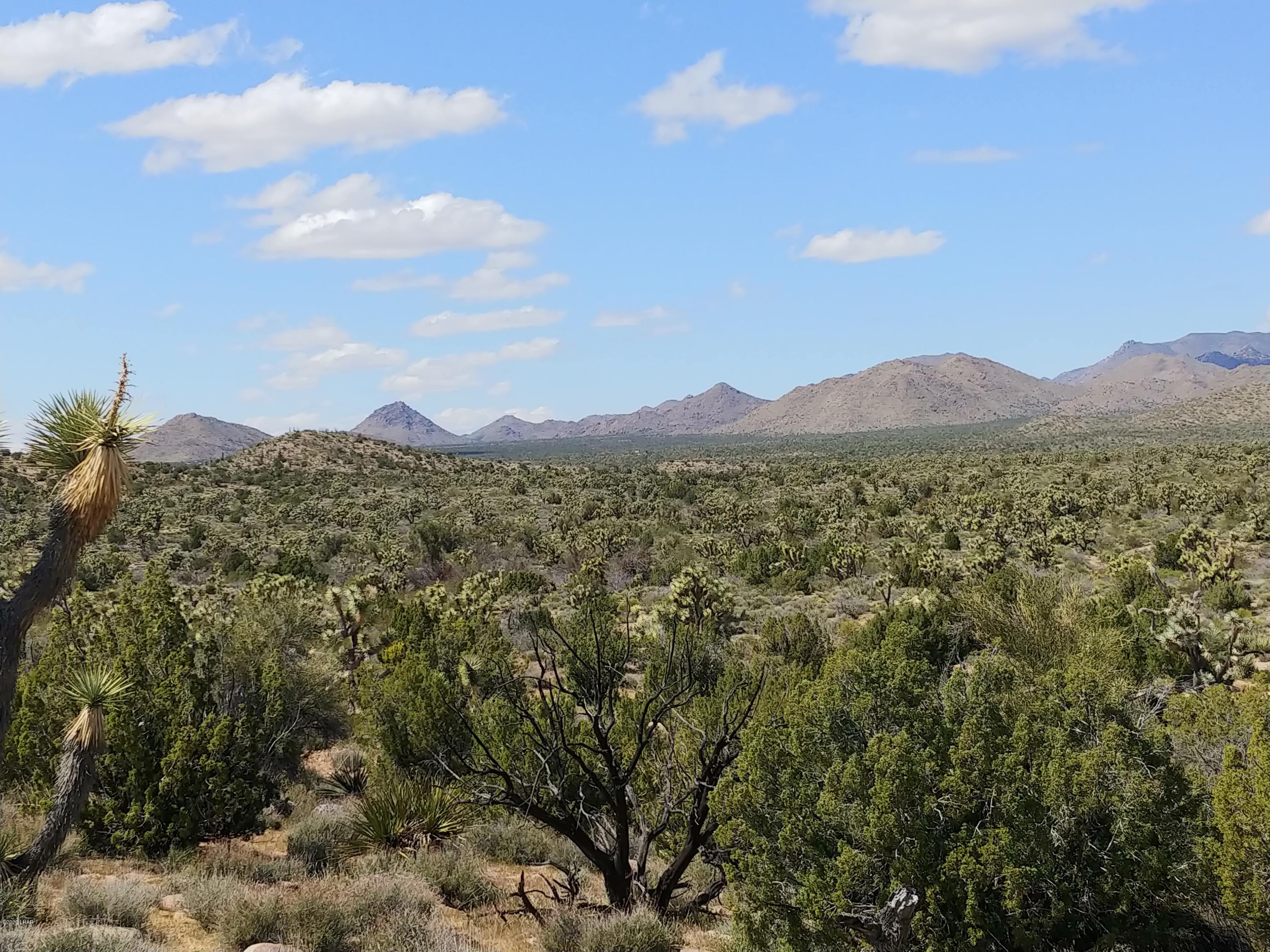 2391 Yucca Road Yucca, AZ 86438 - Photo 21 of 41 0407201416