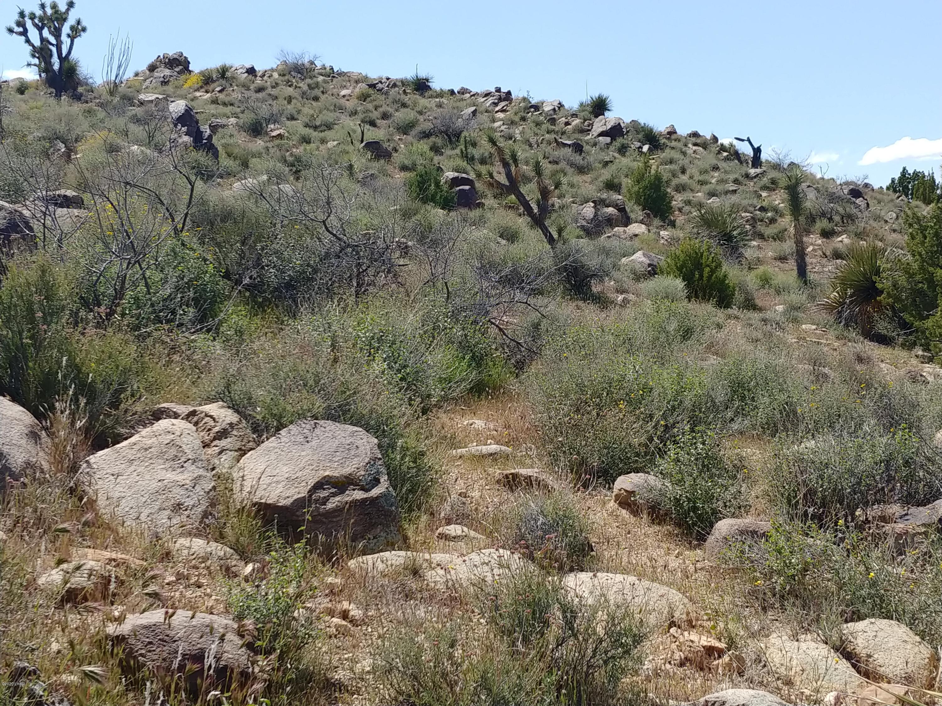 2391 Yucca Road Yucca, AZ 86438 - Photo 22 of 41 0407201416a