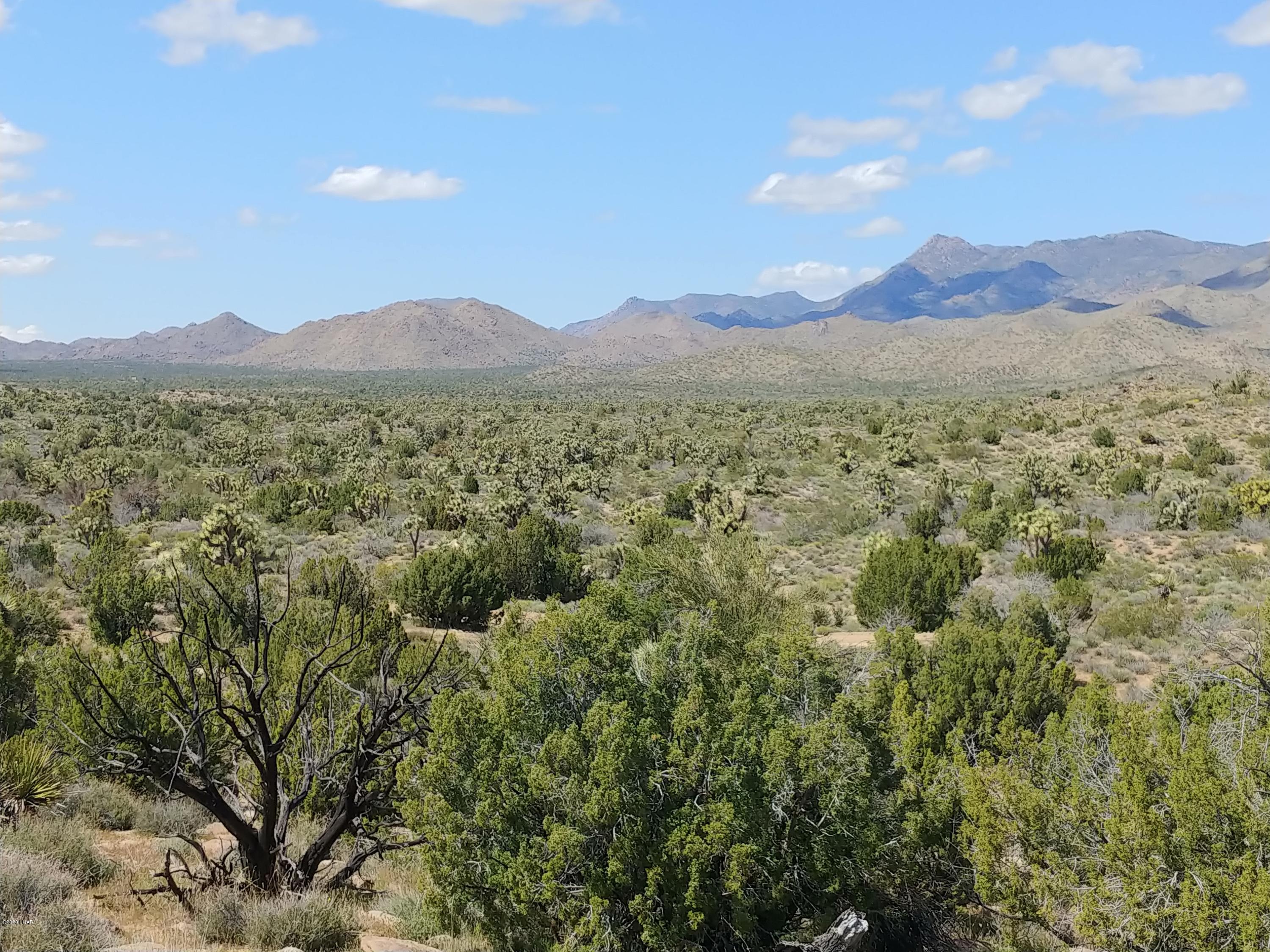 2391 Yucca Road Yucca, AZ 86438 - Photo 24 of 41 0407201416b