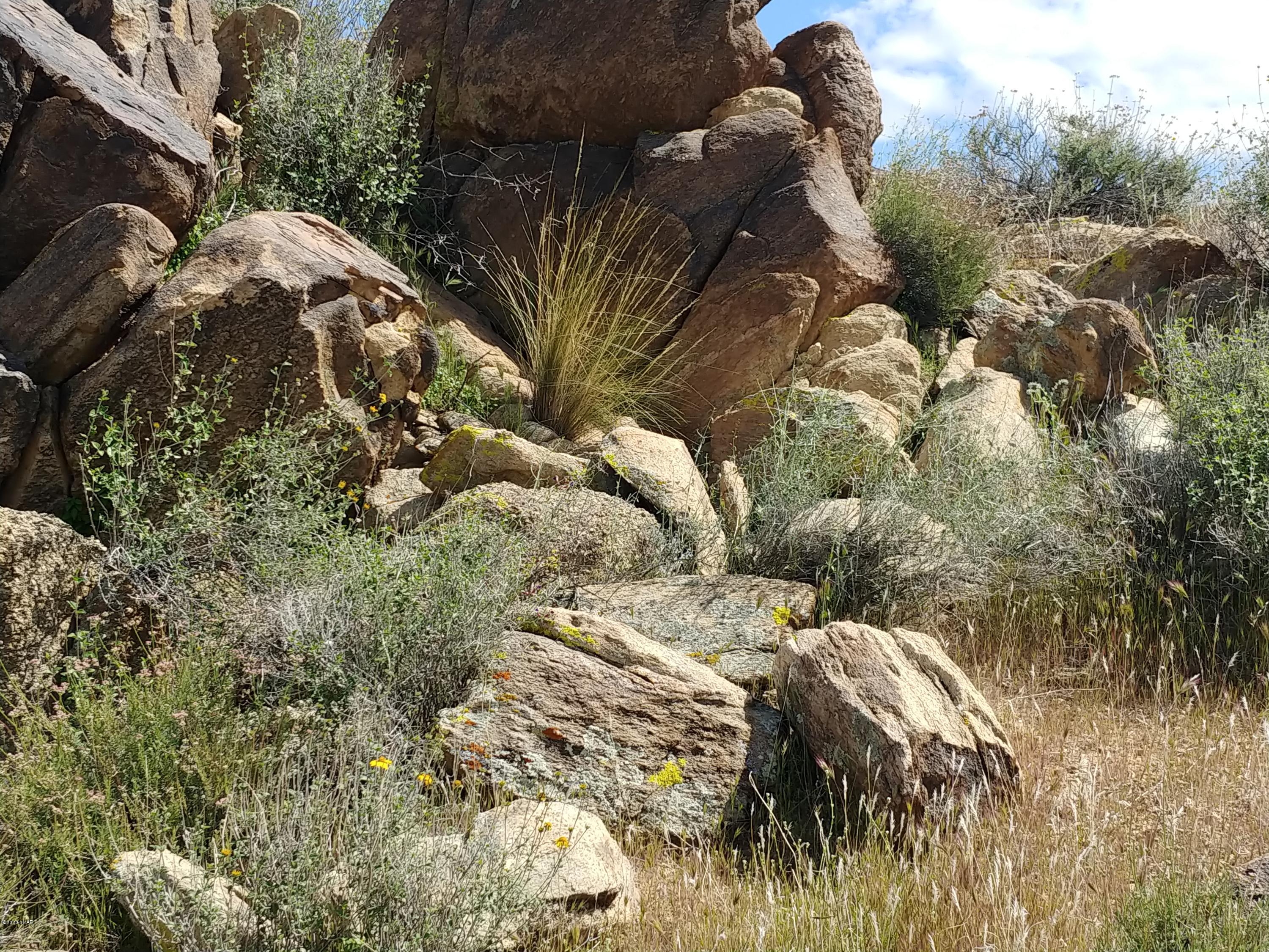 2391 Yucca Road Yucca, AZ 86438 - Photo 26 of 41 0407201417