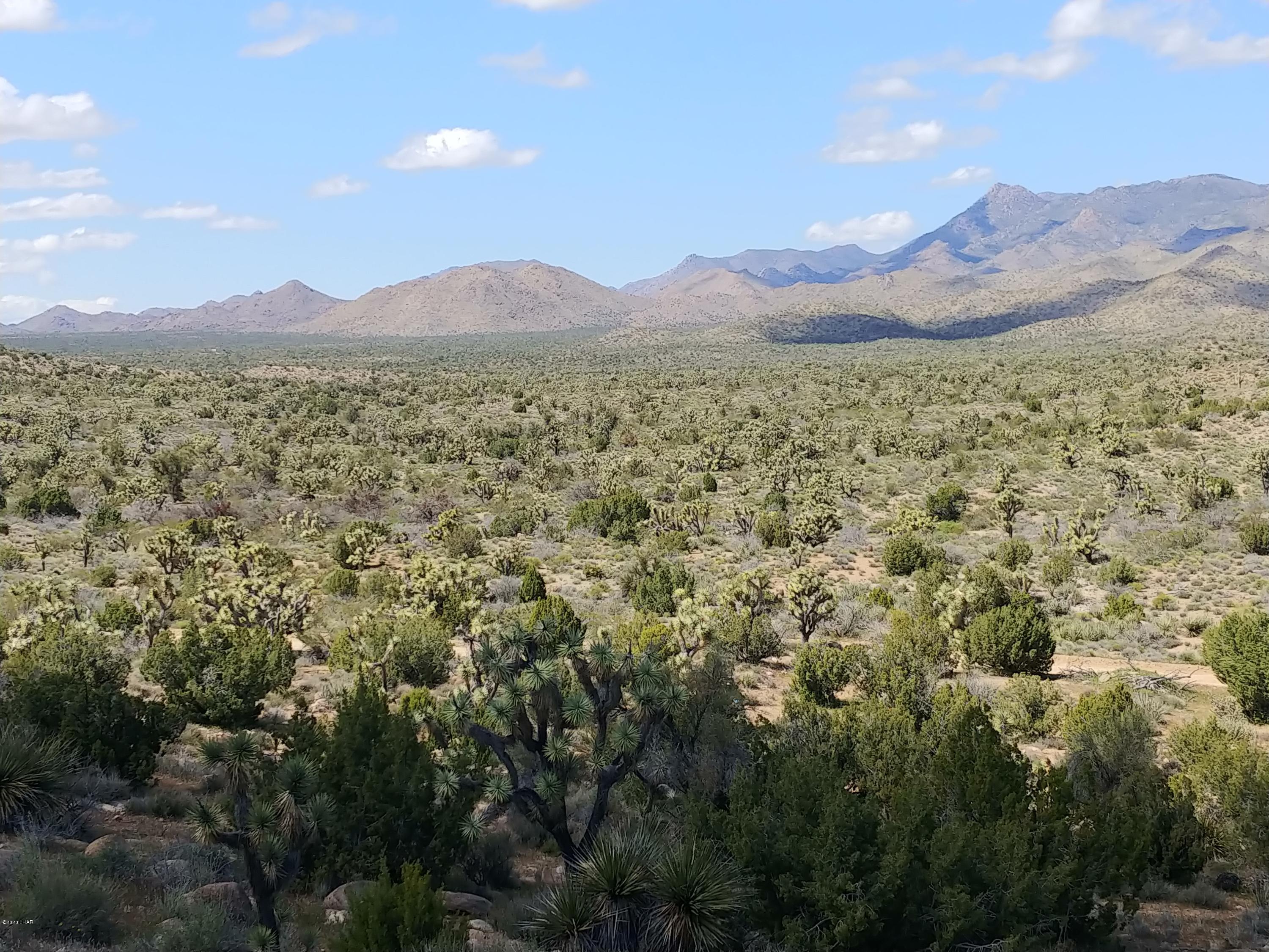 2391 Yucca Road Yucca, AZ 86438 - Photo 28 of 41 0407201418a