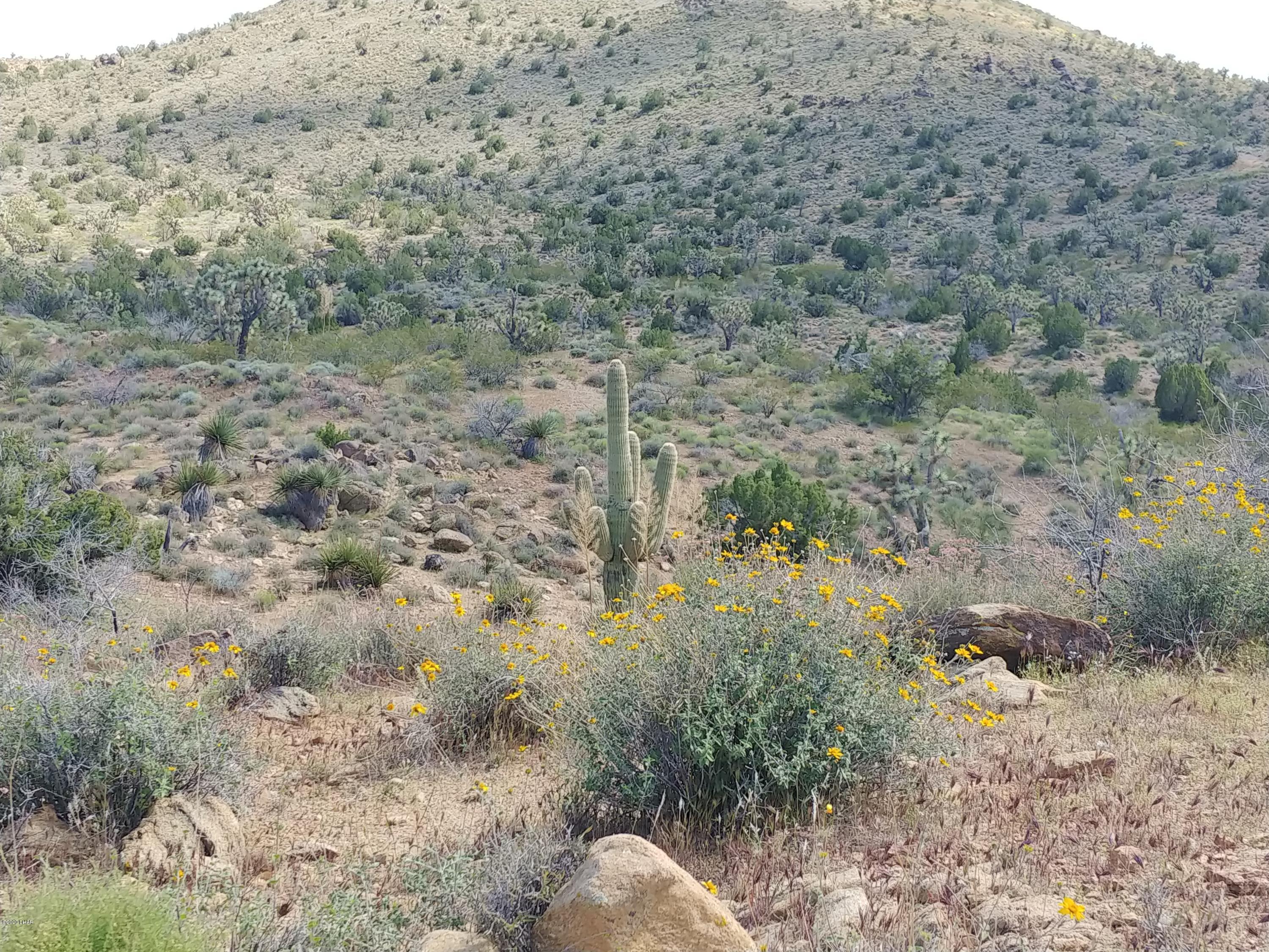 2391 Yucca Road Yucca, AZ 86438 - Photo 30 of 41 0407201418d