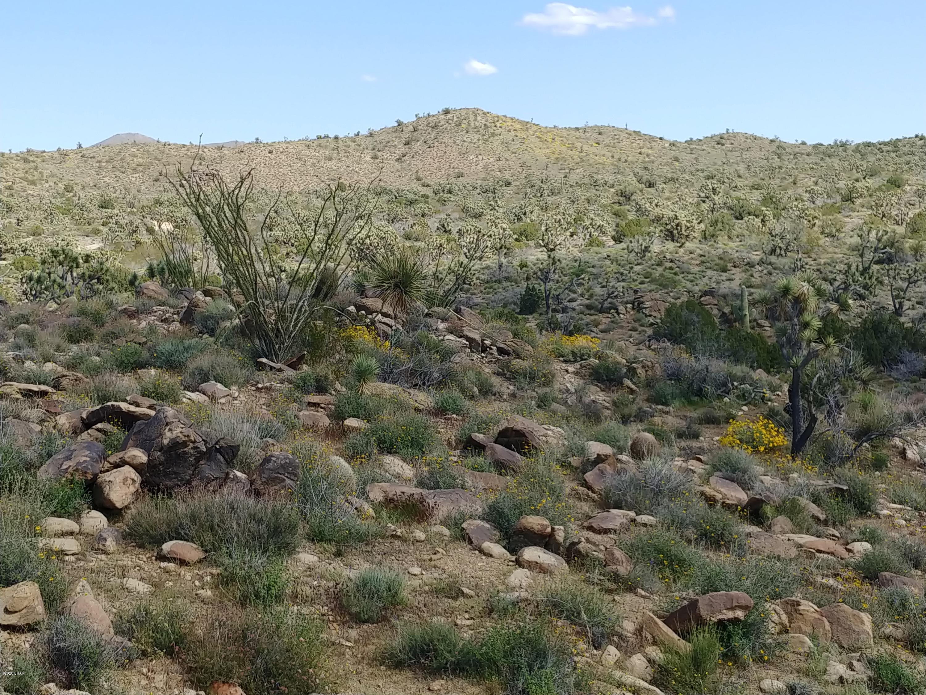 2391 Yucca Road Yucca, AZ 86438 - Photo 31 of 41 0407201419