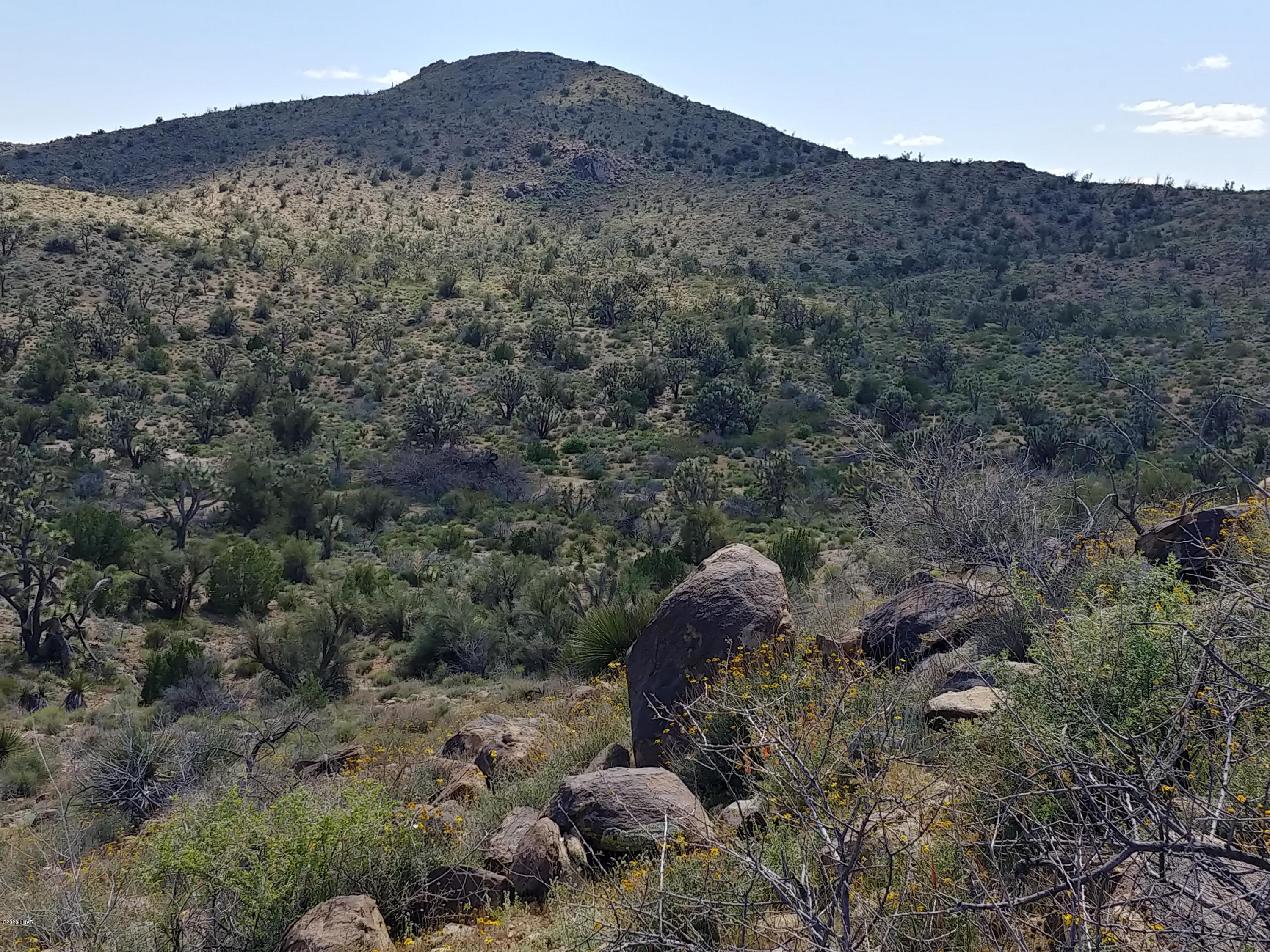 2391 Yucca Road Yucca, AZ 86438 - Photo 32 of 41 0407201419_HDR
