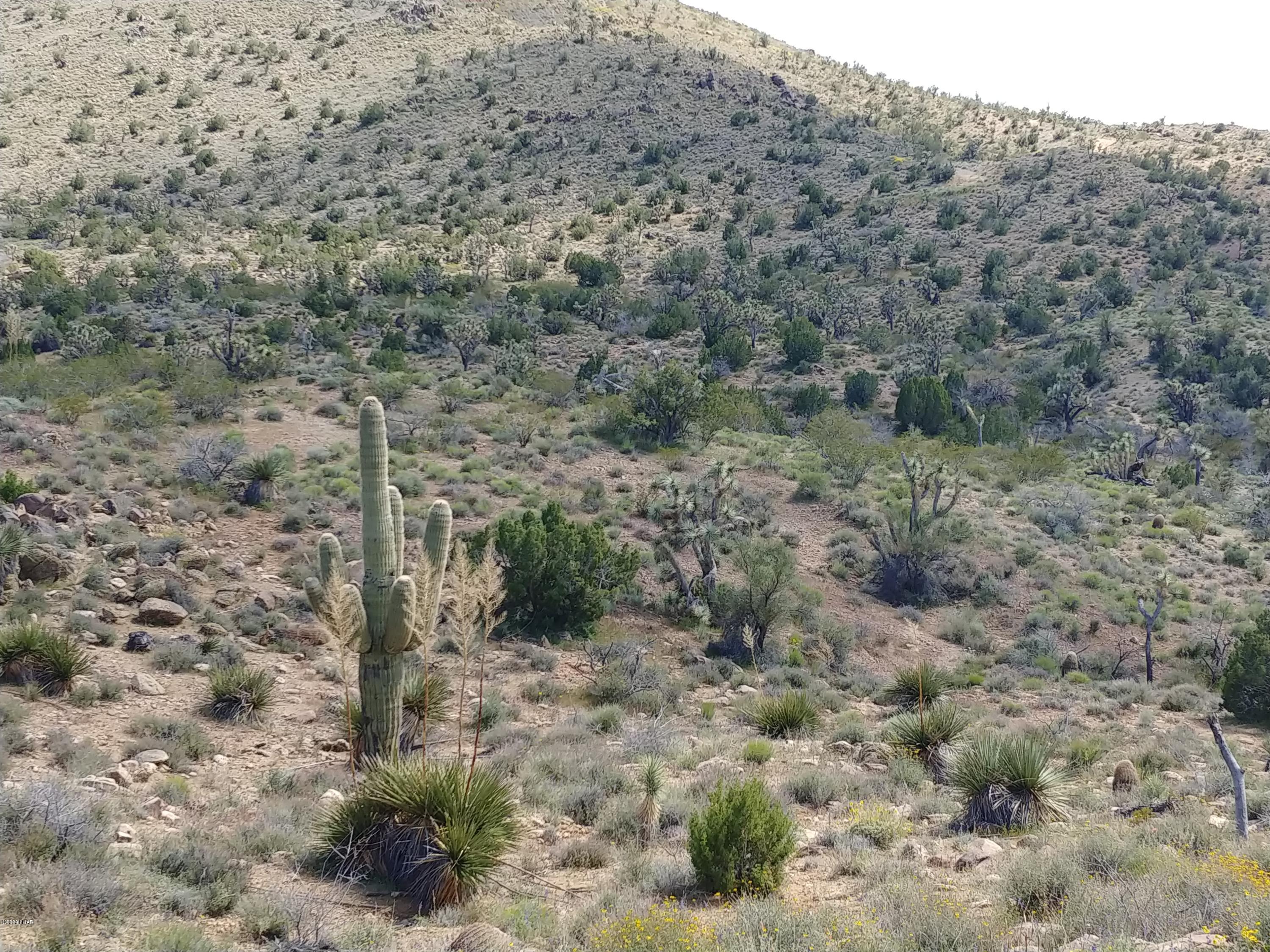 2391 Yucca Road Yucca, AZ 86438 - Photo 33 of 41 0407201419a