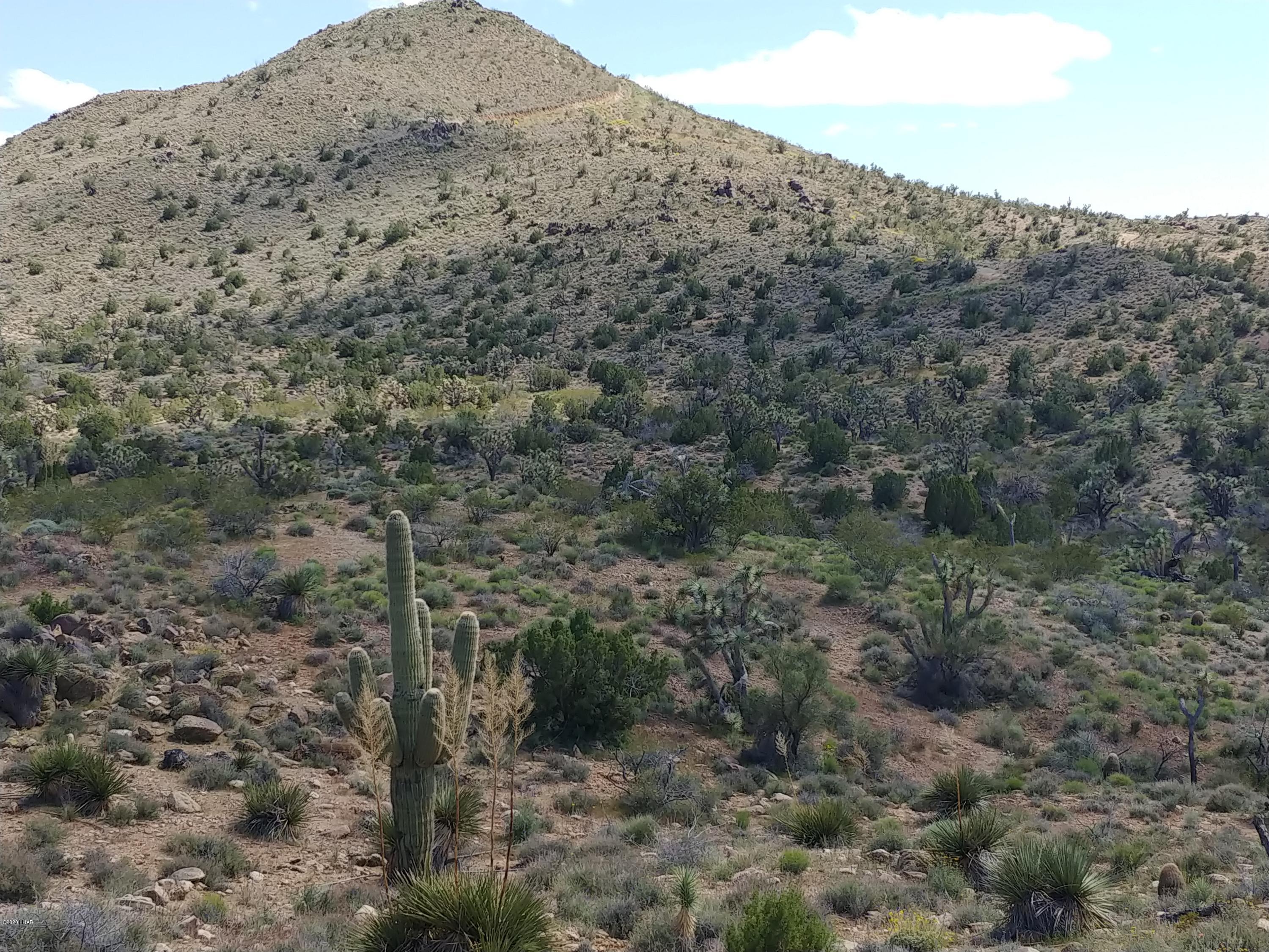 2391 Yucca Road Yucca, AZ 86438 - Photo 35 of 41 0407201419b