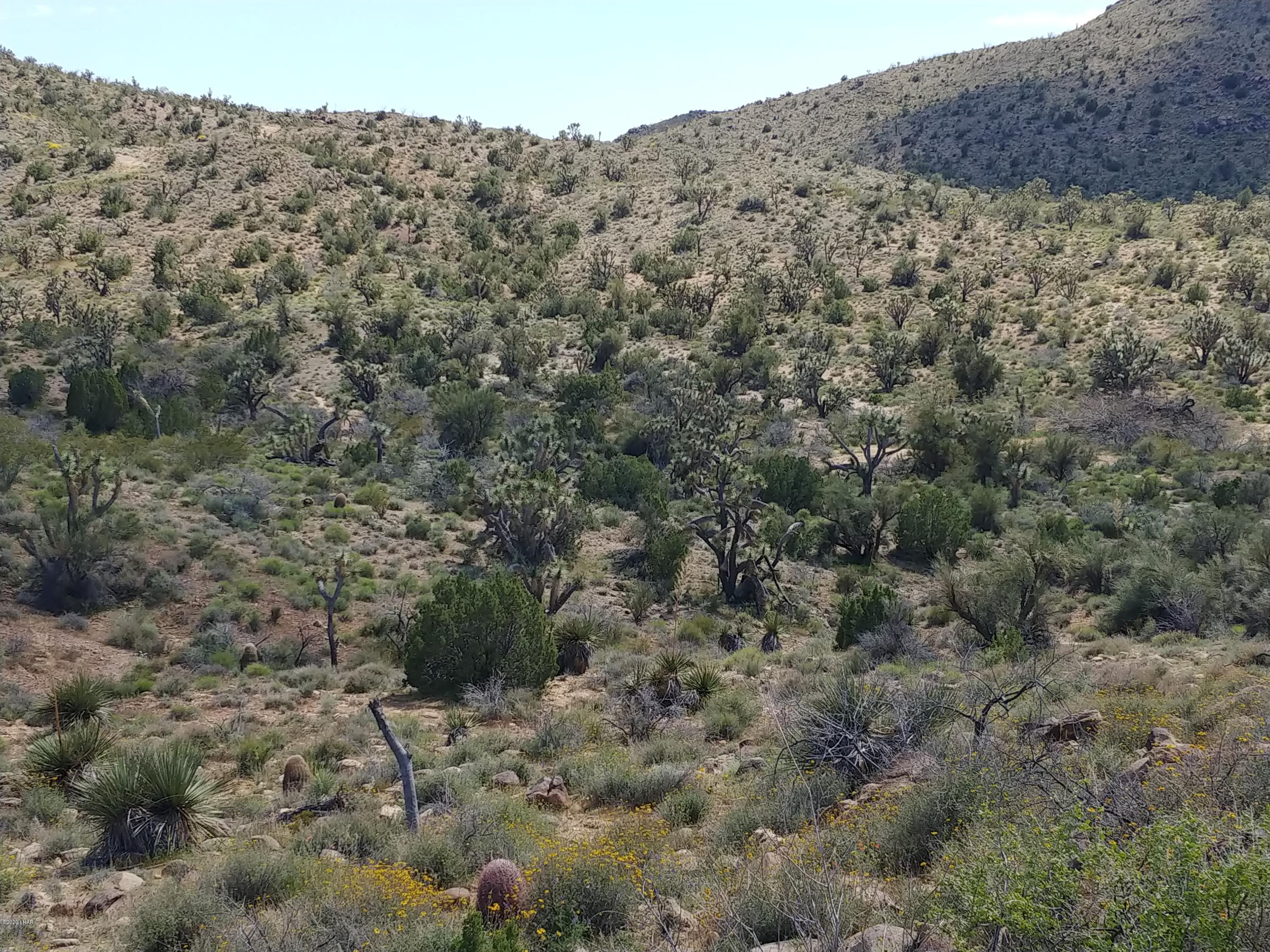 2391 Yucca Road Yucca, AZ 86438 - Photo 36 of 41 0407201419c
