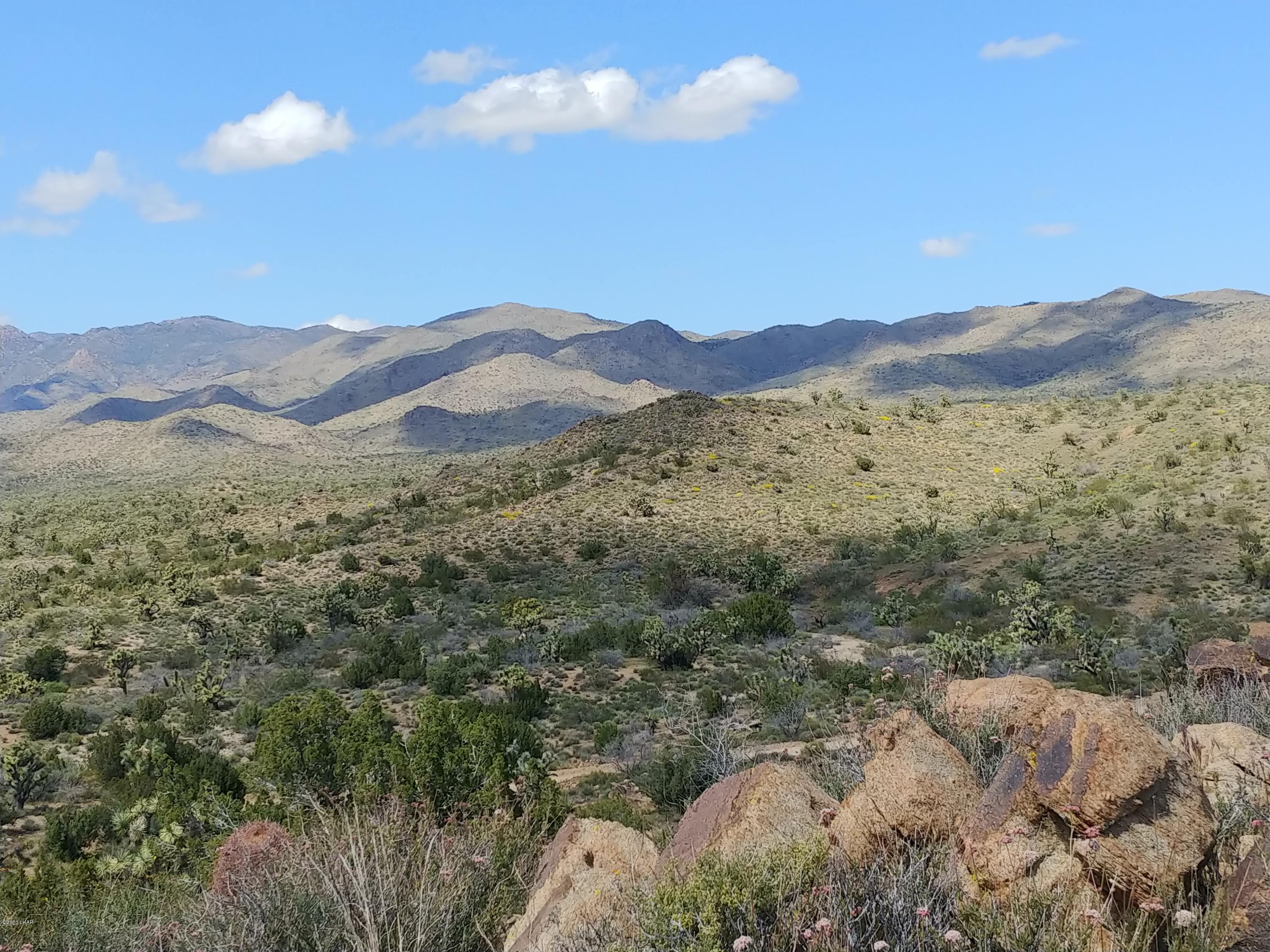 2391 Yucca Road Yucca, AZ 86438 - Photo 37 of 41 0407201419d