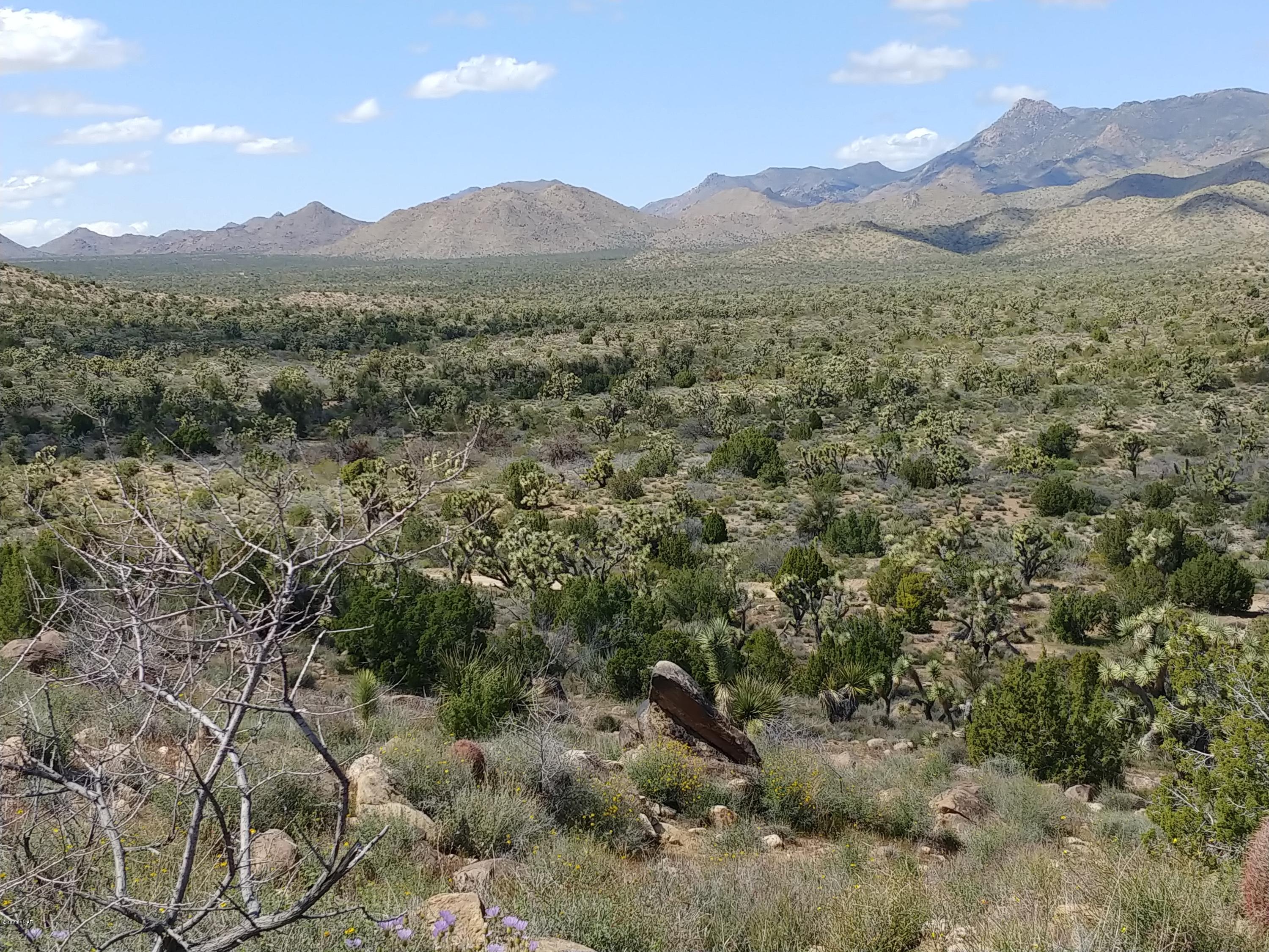 2391 Yucca Road Yucca, AZ 86438 - Photo 38 of 41 0407201419e