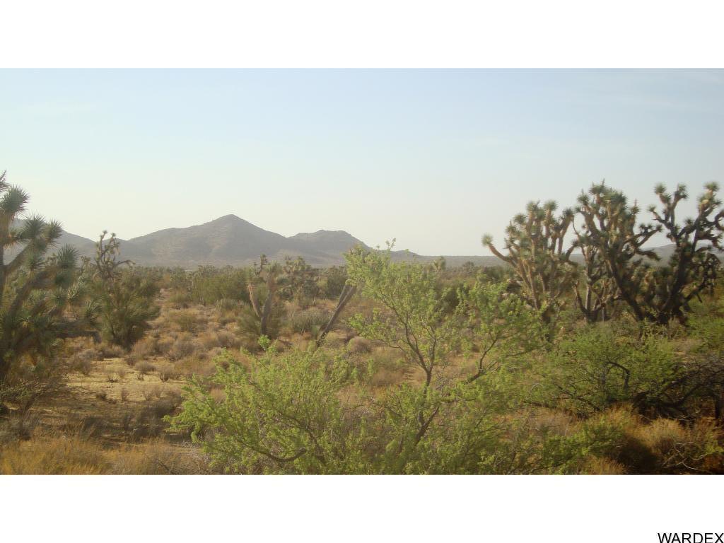 2391 Yucca Road Yucca, AZ 86438 - Photo 39 of 41 Primary Photo