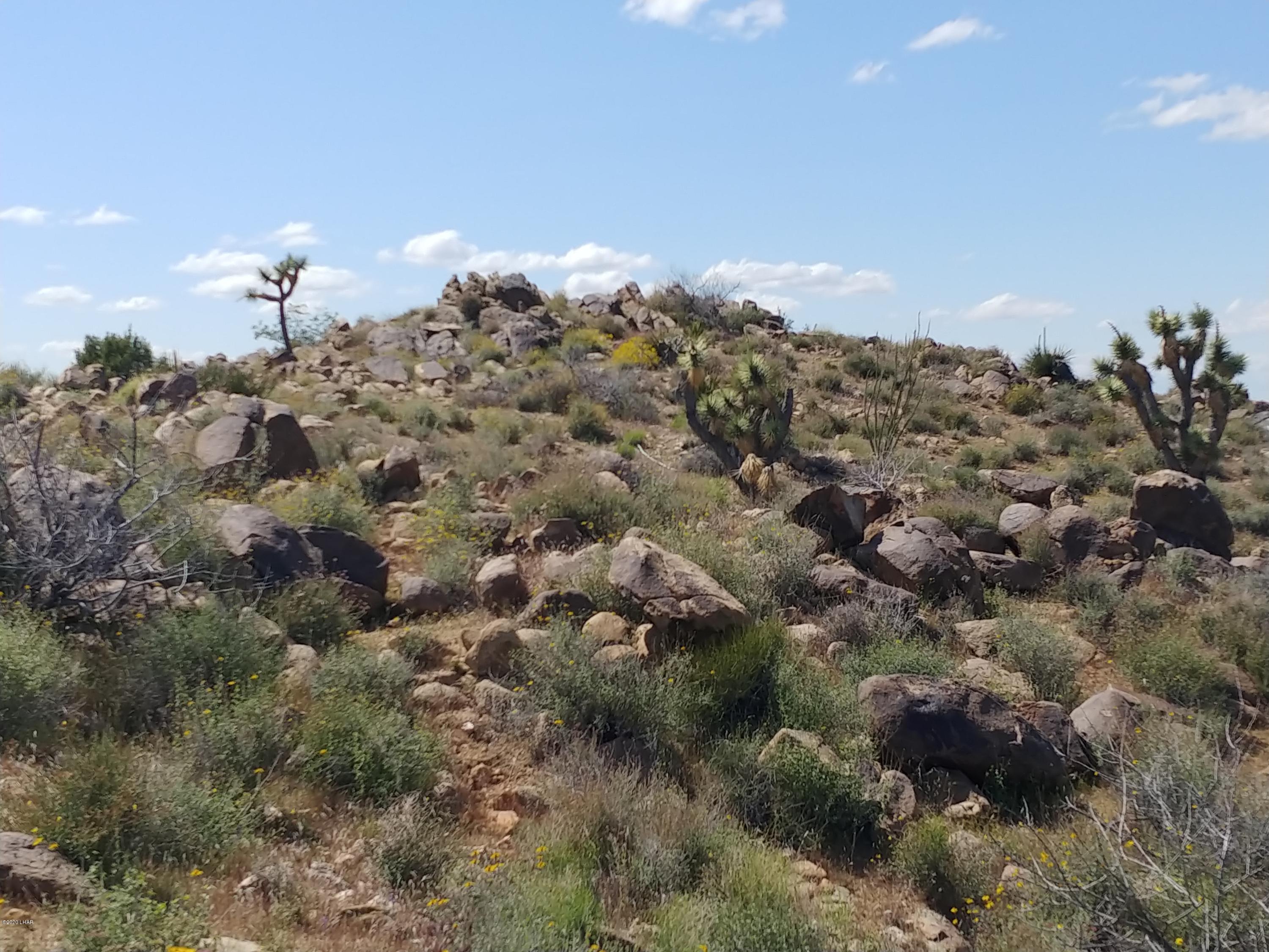 2391 Yucca Road Yucca, AZ 86438 - Photo 40 of 41 0407201420