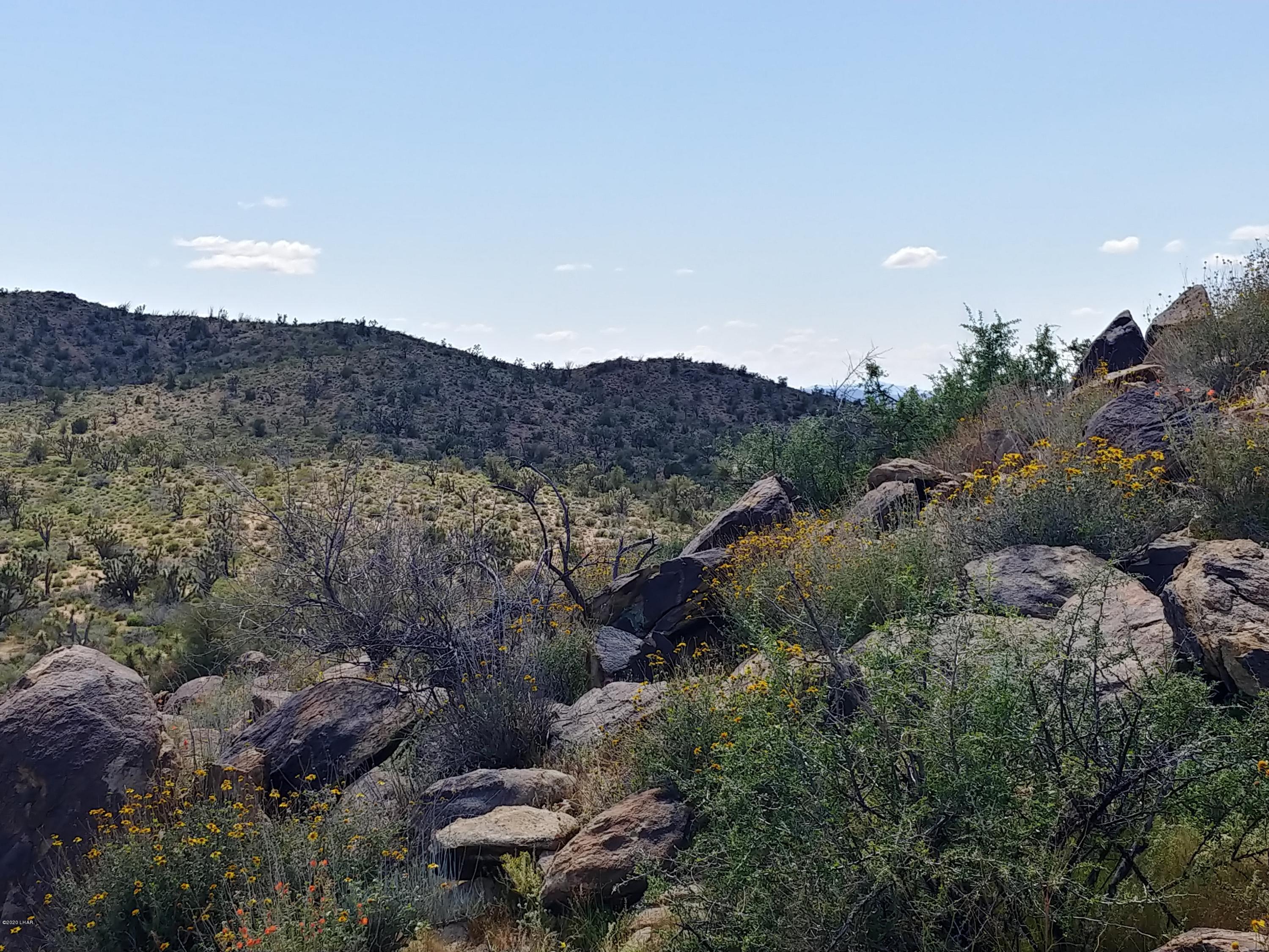 2391 Yucca Road Yucca, AZ 86438 - Photo 5 of 41 0407201419b_HDR