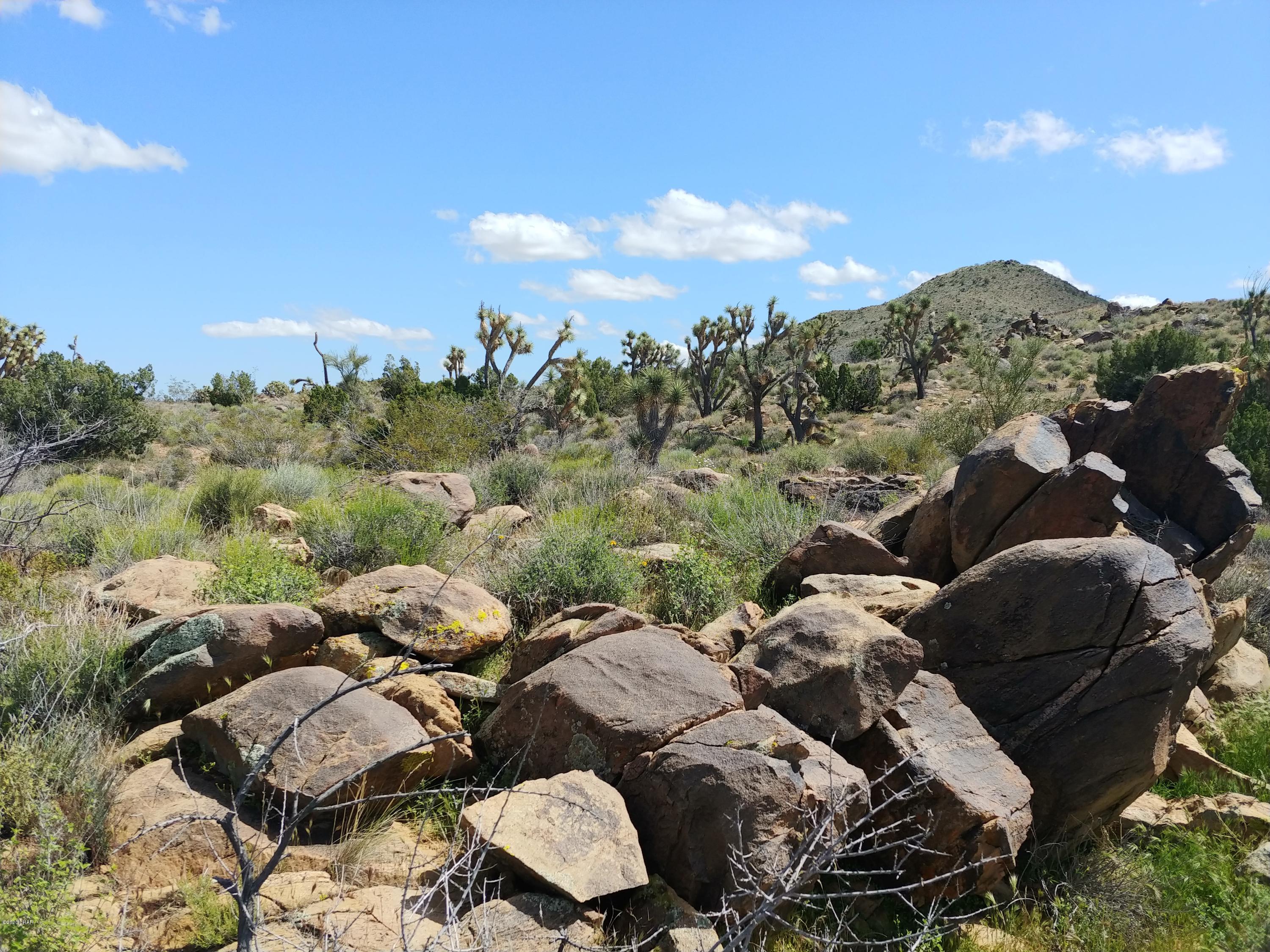 2391 Yucca Road Yucca, AZ 86438 - Photo 9 of 41 0407201413