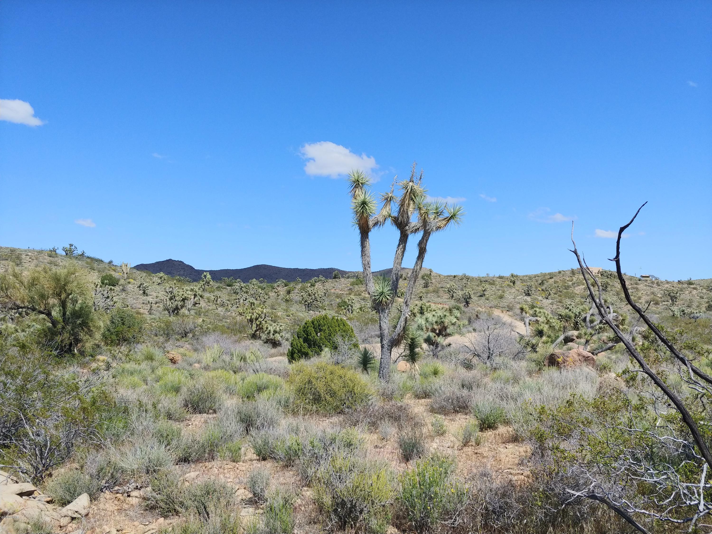 2391 Yucca Road Yucca, AZ 86438 - Photo 10 of 41 0407201413a