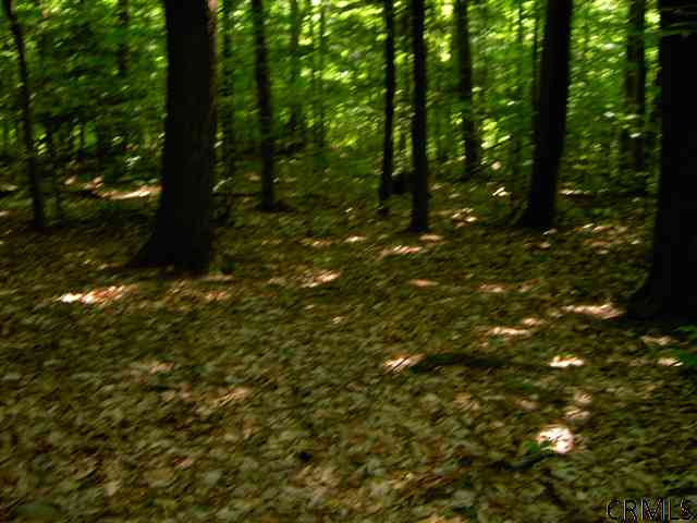 9999 Altamont-Voorheesville Road Altamont, NY 12009 - Photo 8 of 10 Photo 8