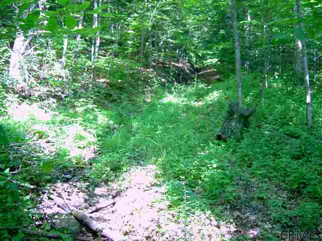 9999 Altamont-Voorheesville Road Altamont, NY 12009 - Photo 9 of 10 Photo 10