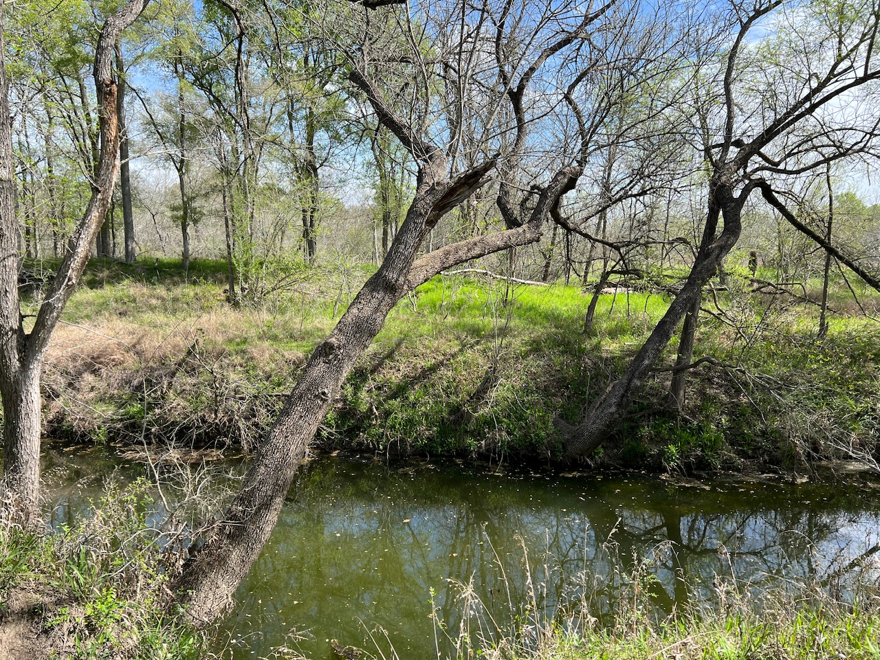 Tbd Cunningham Drive Lockhart, TX 78644 - Photo 7 of 15 a view of lake
