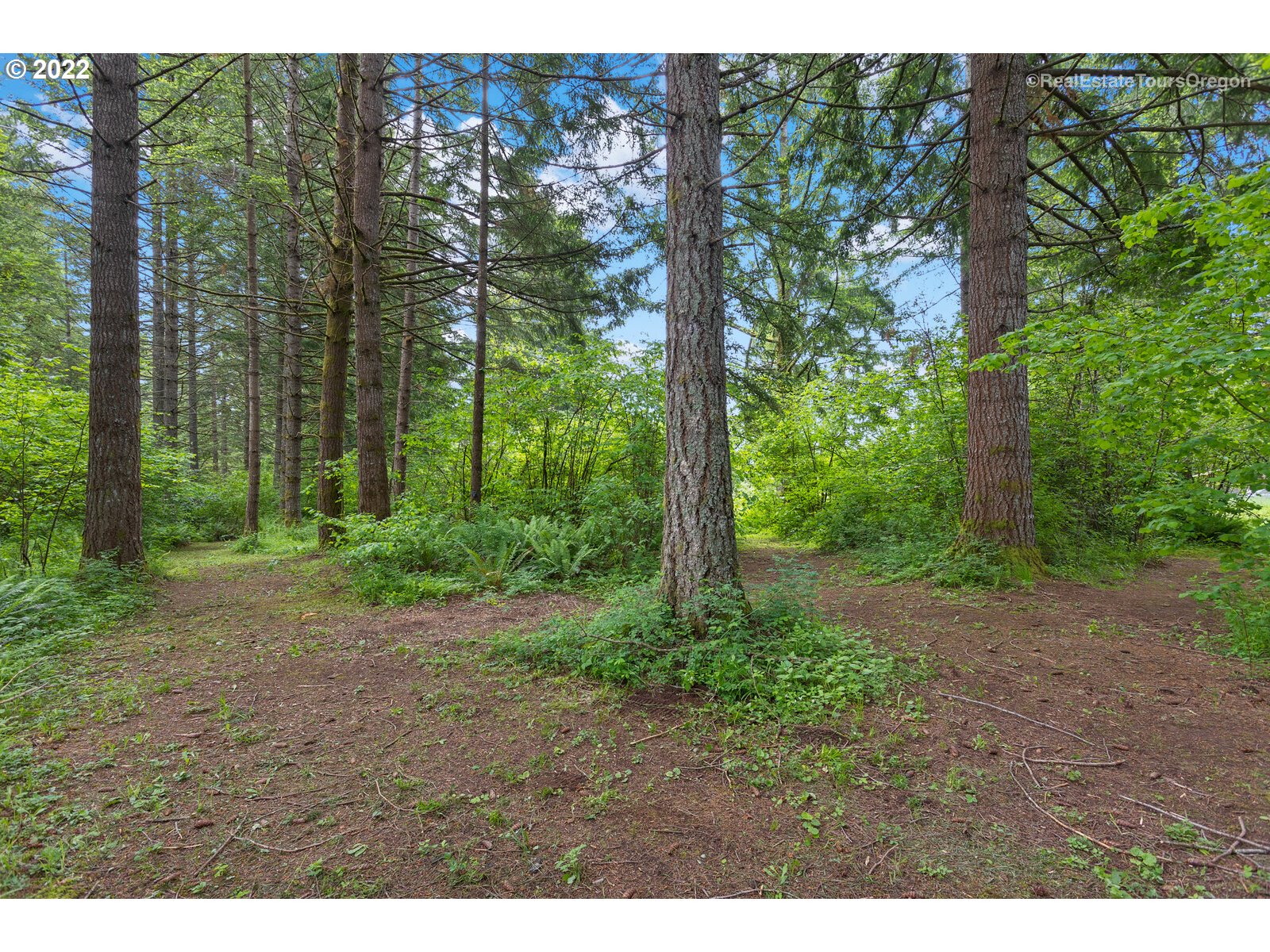 21185 South Lower Highland Road Beavercreek, OR 97004 - Photo 29 of 32 Gallery Image 29