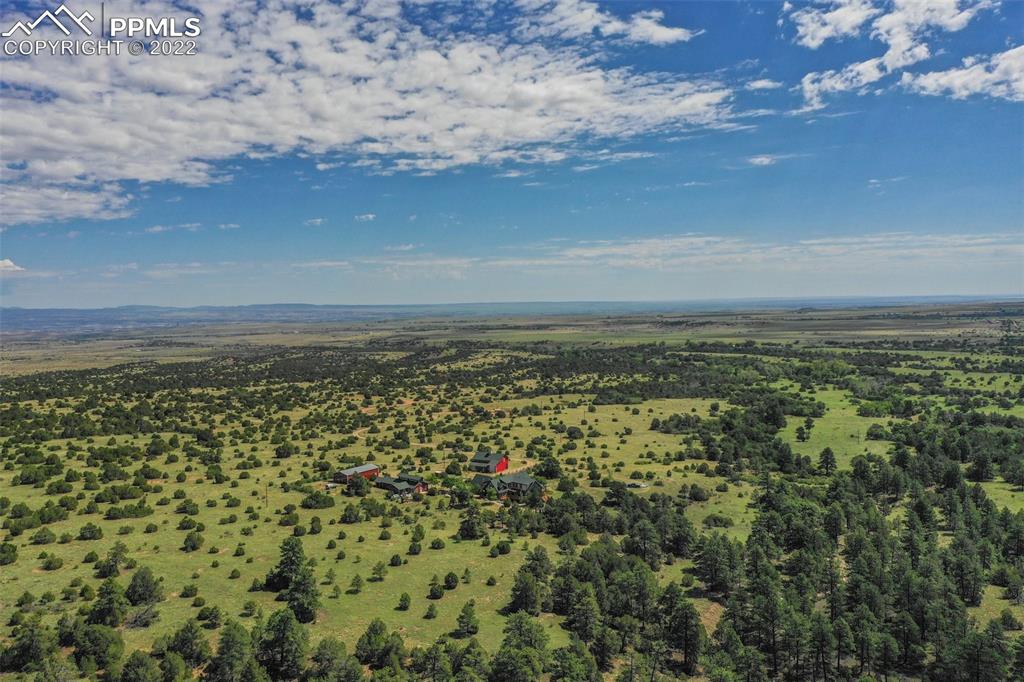 3311 County Road 103 Florence, CO 81226 - Photo 13 of 50 a view of a bunch of trees and sunset