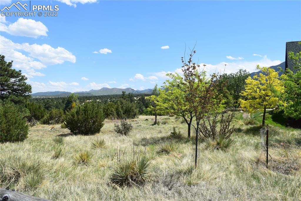 3311 County Road 103 Florence, CO 81226 - Photo 45 of 50 a view of a garden