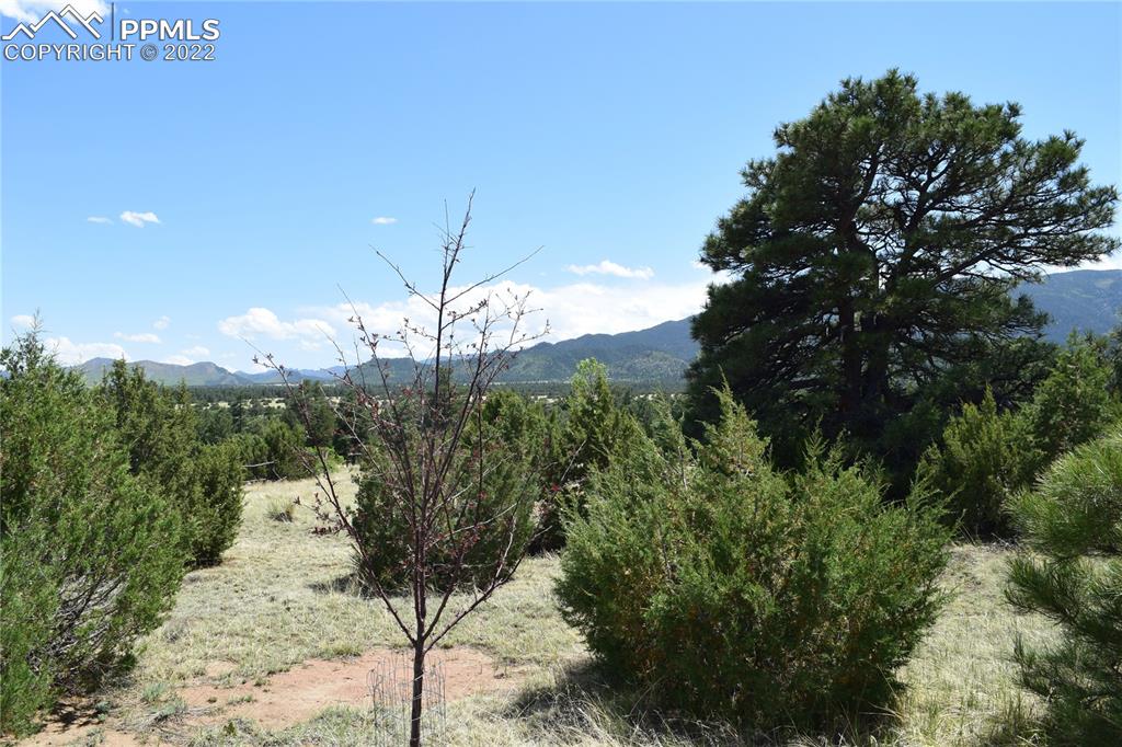 3311 County Road 103 Florence, CO 81226 - Photo 46 of 50 a view of a yard