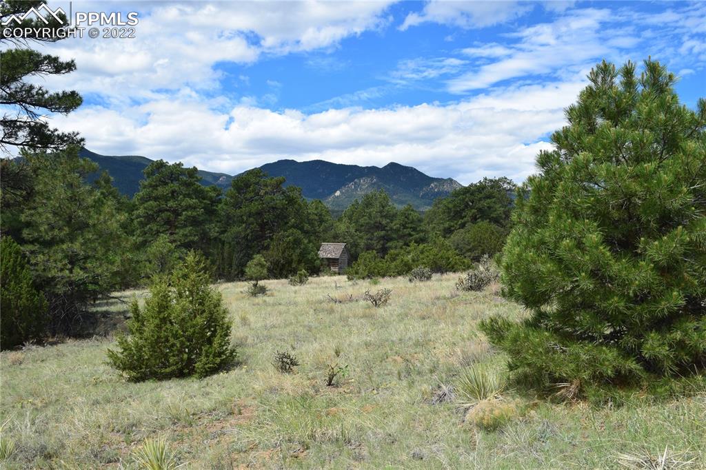 3311 County Road 103 Florence, CO 81226 - Photo 48 of 50 a view of a yard with a large tree