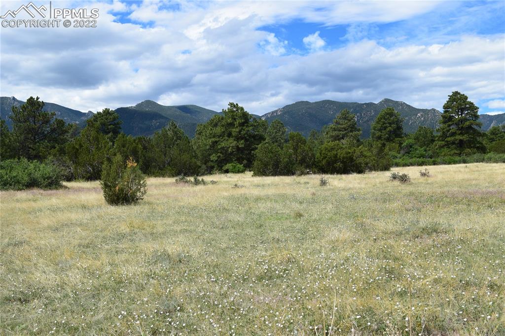 3311 County Road 103 Florence, CO 81226 - Photo 50 of 50 a view of outdoor space with green field