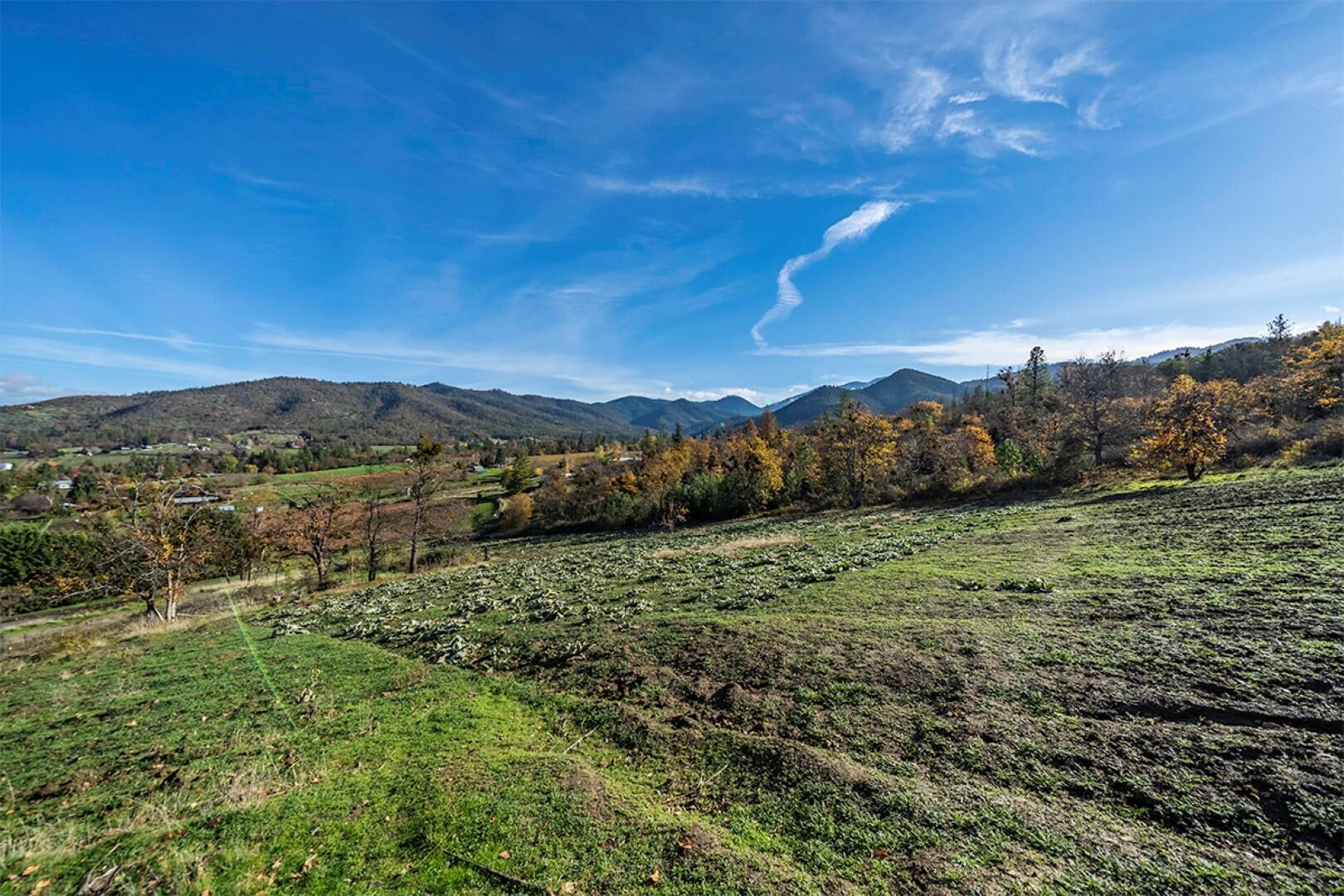 1057 Anderson Creek Road Talent, OR 97540 - Photo 44 of 50 DSC02785
