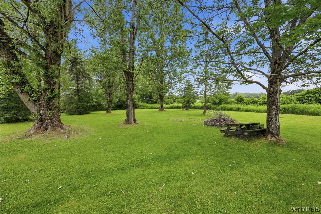 7143 Mt Monroe Road New Hudson, NY 14727 - Photo 9 of 50