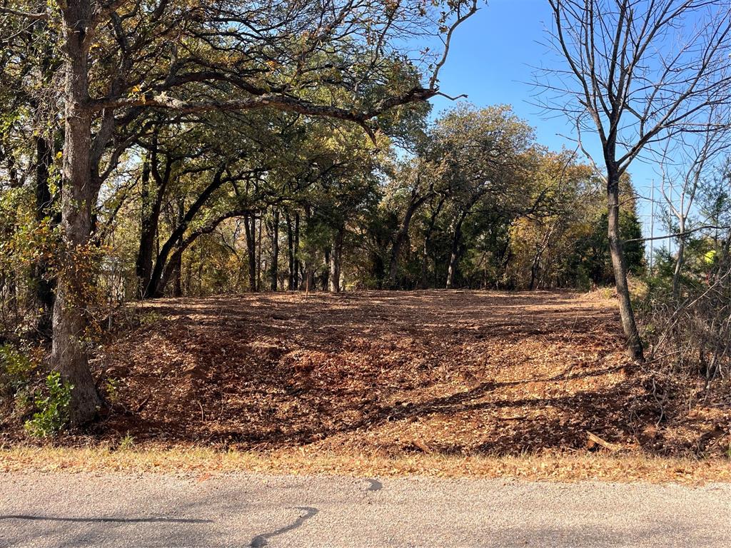 1922 Walter Smith Road Azle, TX 76020 - Photo 1 of 12 View of undeveloped land