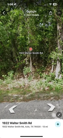 a black and white photo of a tree