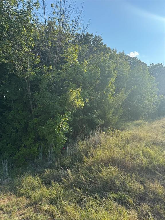 1922 Walter Smith Road Azle, TX 76020 - Photo 12 of 12 View of tree filled area